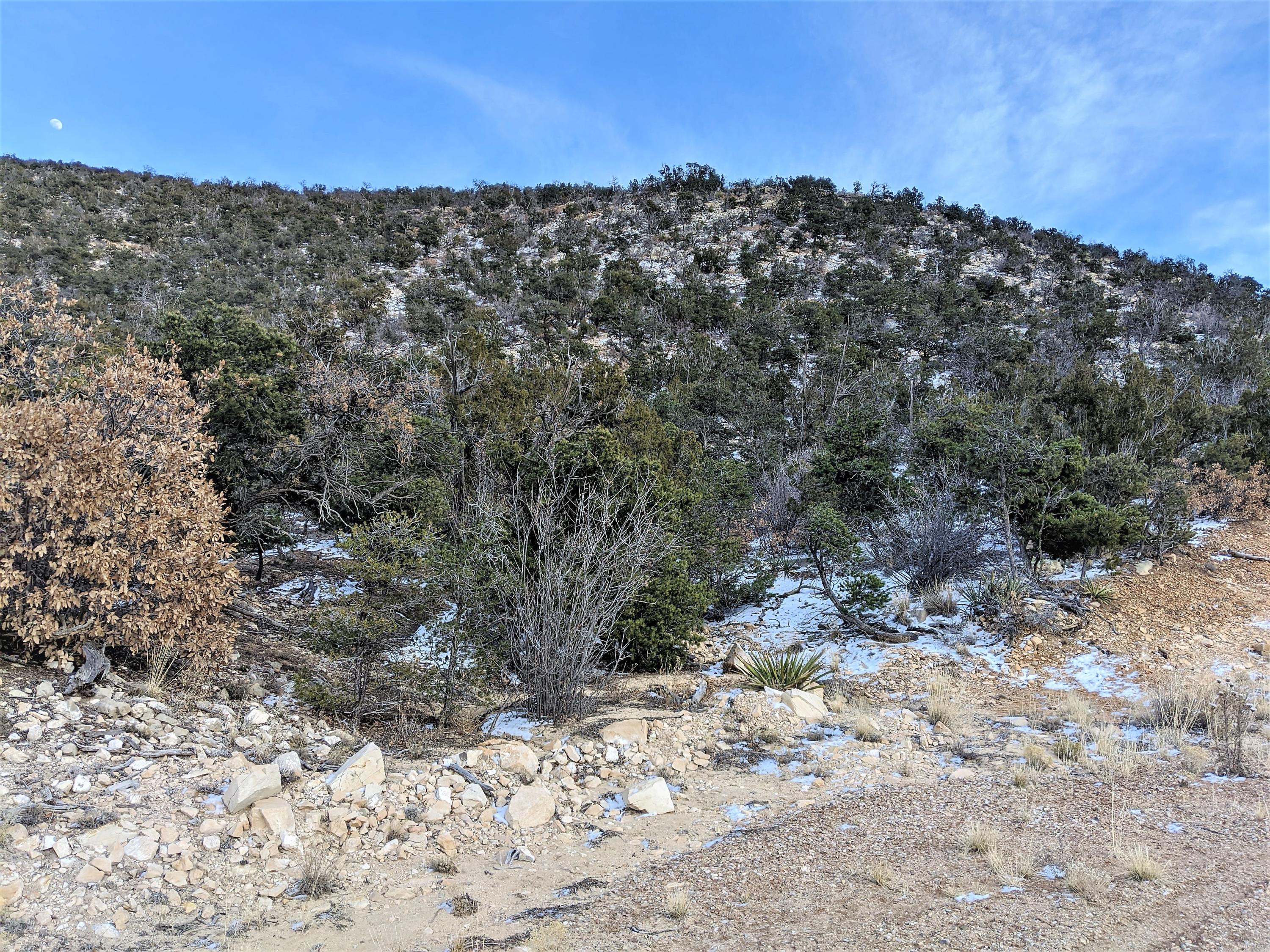 37 Chato Trail, Mountainair, New Mexico image 1