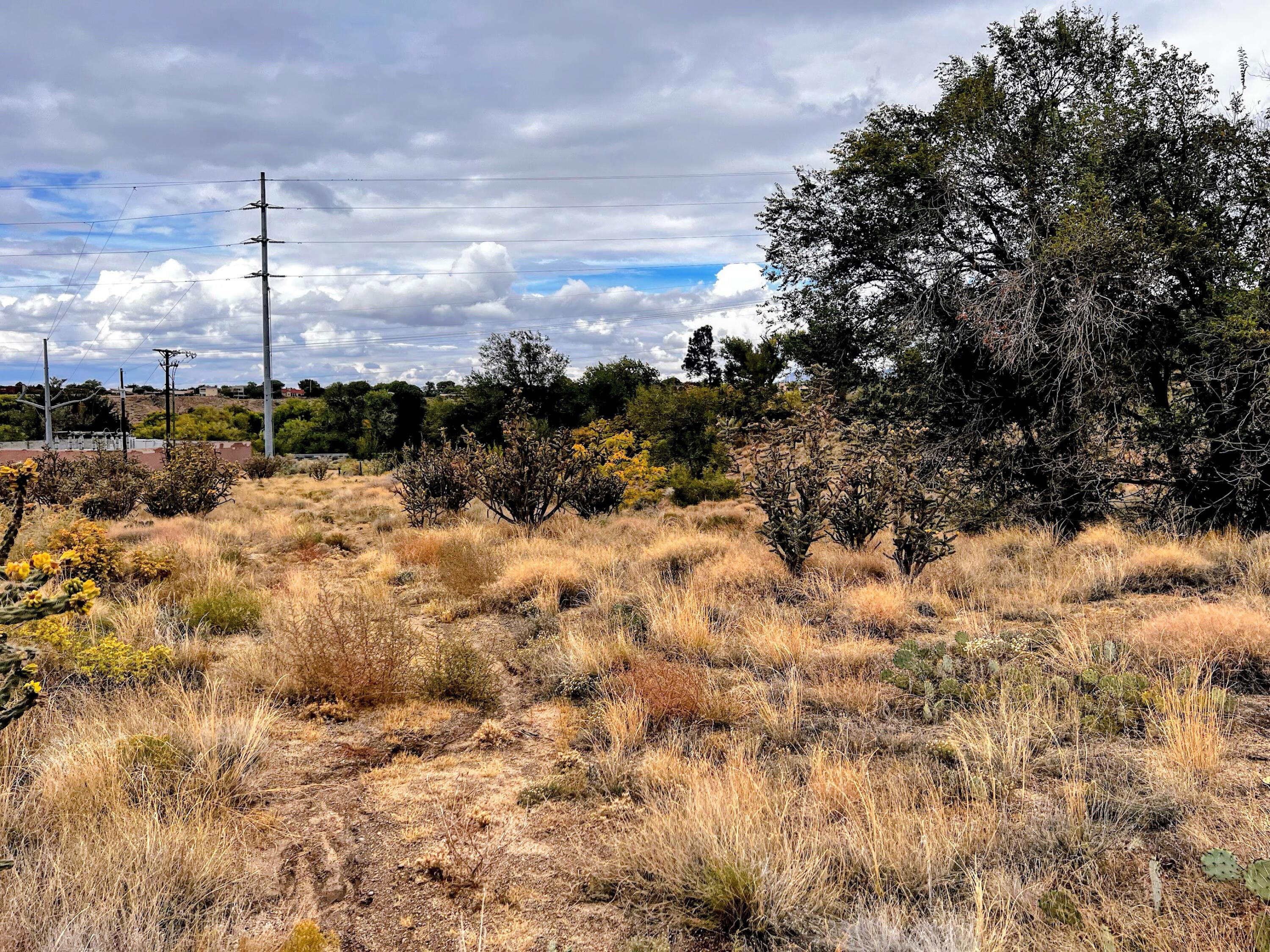 Hidden Valley / Lamp Post SE