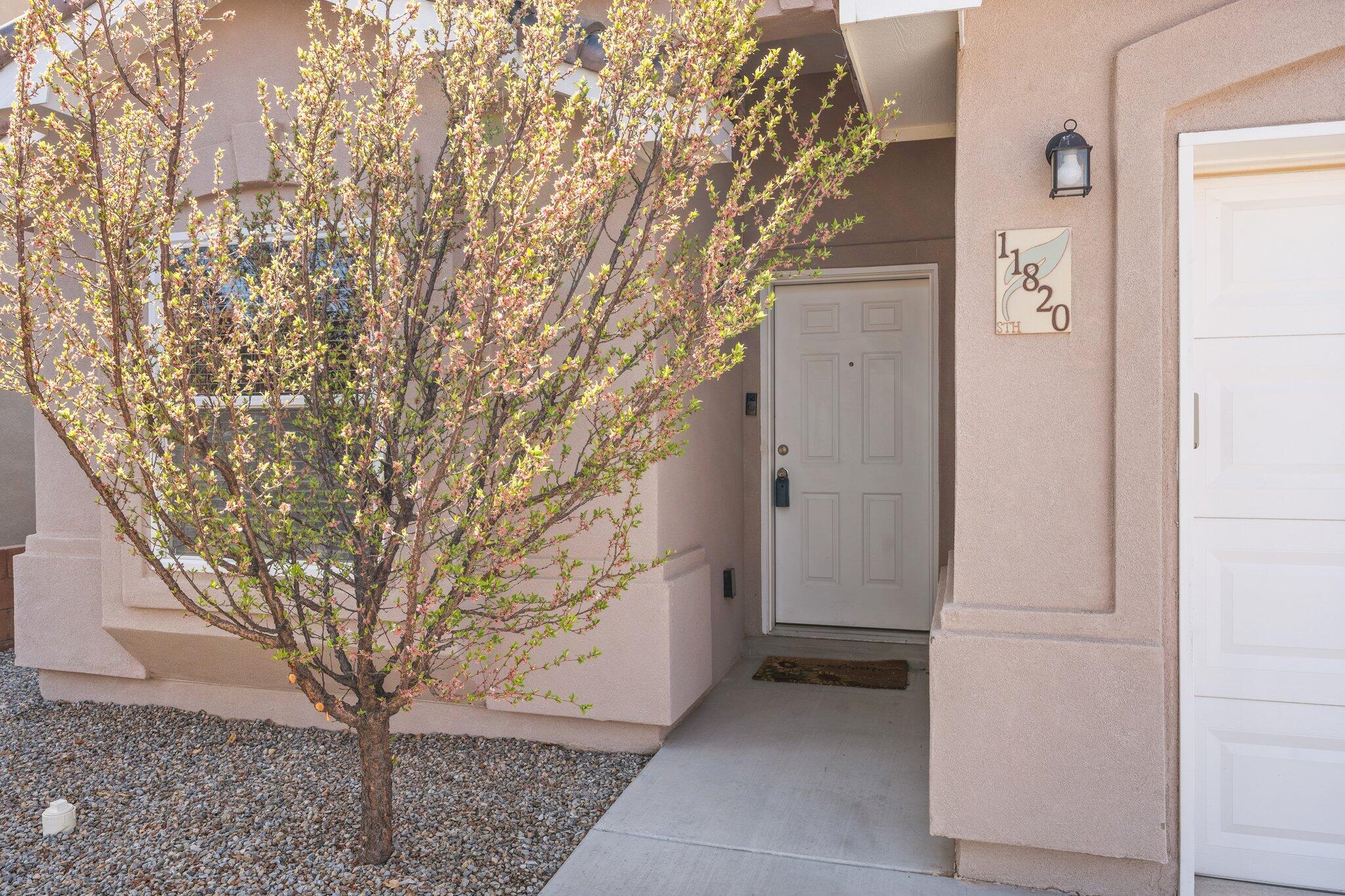 11820 Suny Bay Road, Albuquerque, New Mexico image 2