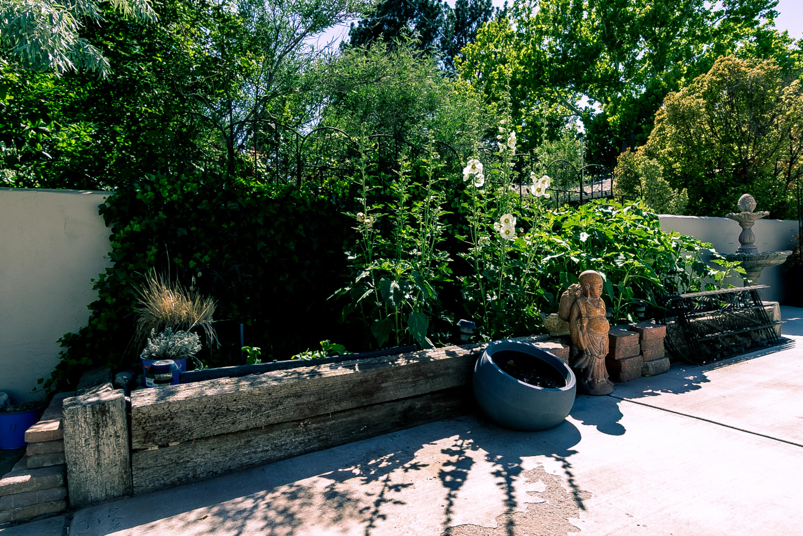 434 Wellesley Place, Albuquerque, New Mexico image 40