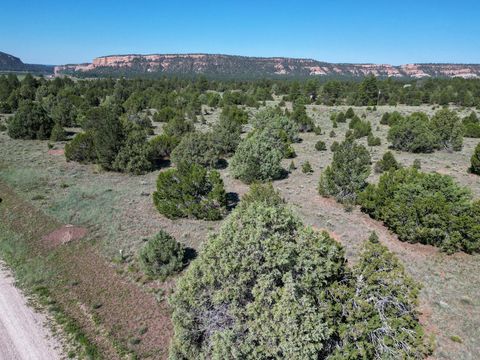 Vacant Land For Sale - LOT 15 Buttonwood Drive<br/> Ramah, NM 87321