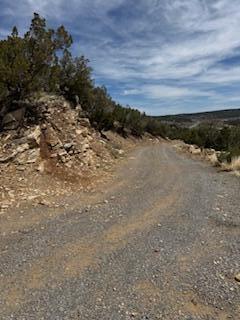 Larrys Lane, Cedar Crest, New Mexico image 23