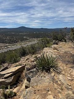 Larrys Lane, Cedar Crest, New Mexico image 10