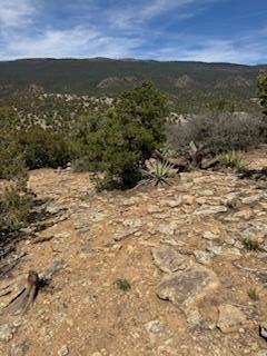 Larrys Lane, Cedar Crest, New Mexico image 11
