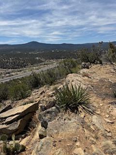 Larrys Lane, Cedar Crest, New Mexico image 9