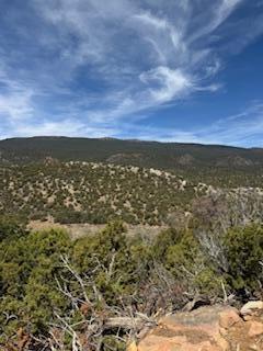 Larrys Lane, Cedar Crest, New Mexico image 2