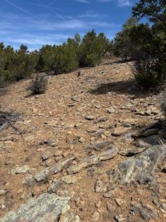 Larrys Lane, Cedar Crest, New Mexico image 17