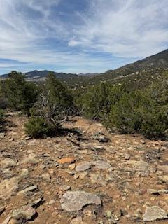 Larrys Lane, Cedar Crest, New Mexico image 15