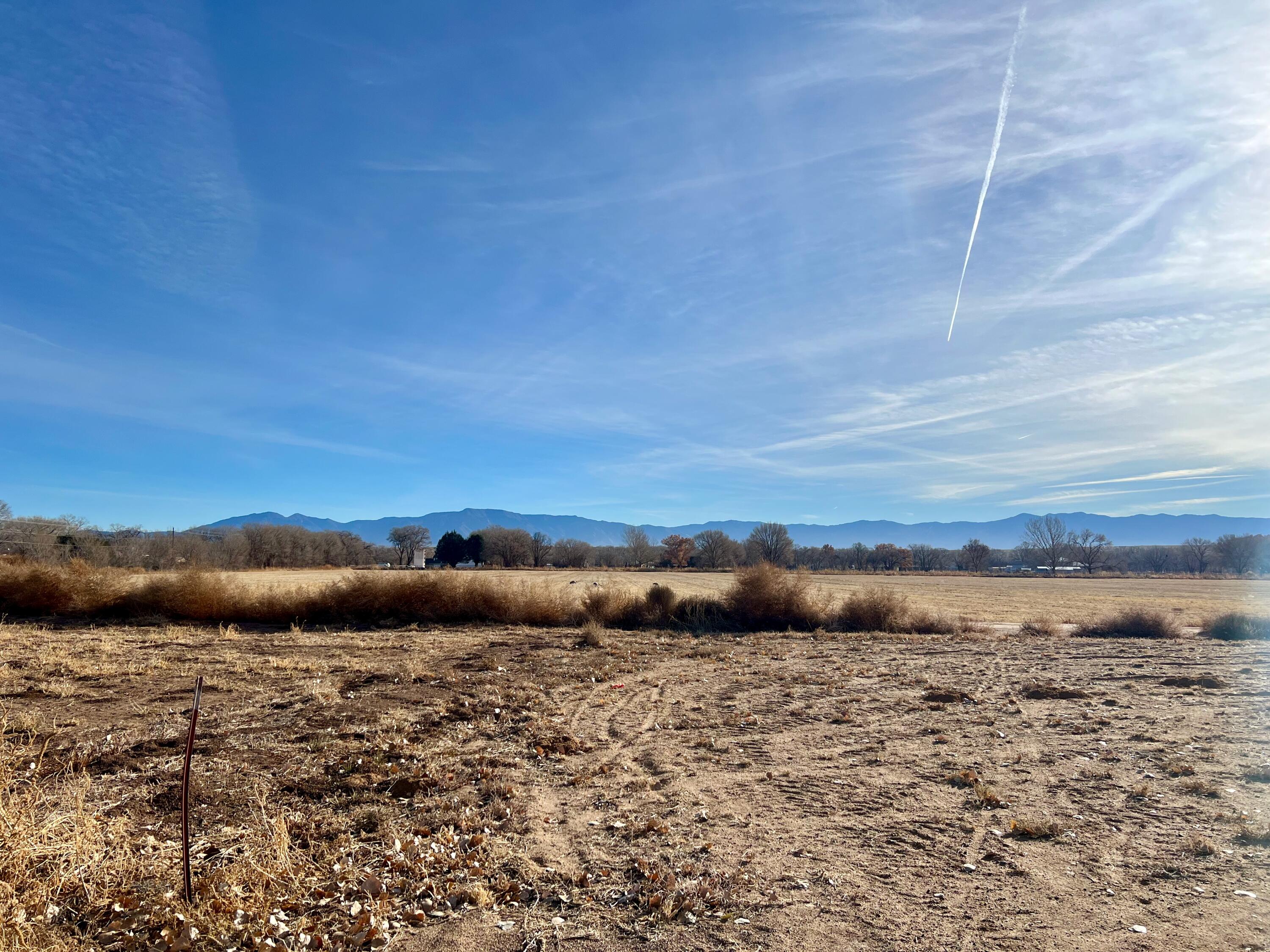 Lucky Charm Court, Los Lunas, New Mexico image 3