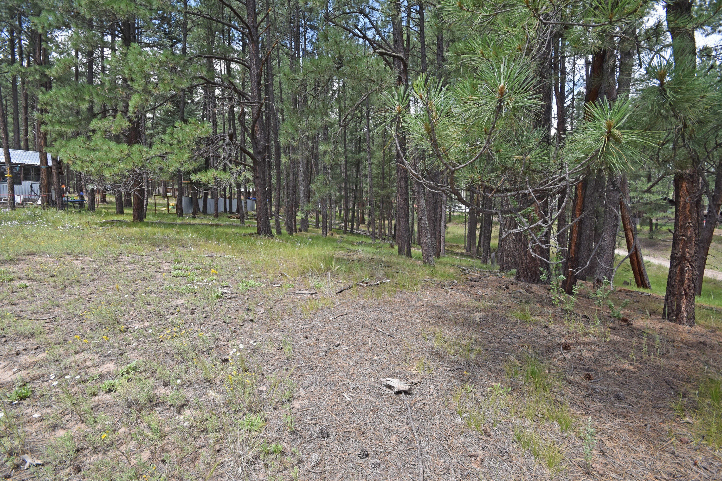 Lots 2 & 3 Hidden Valley Road, Jemez Springs, New Mexico image 2