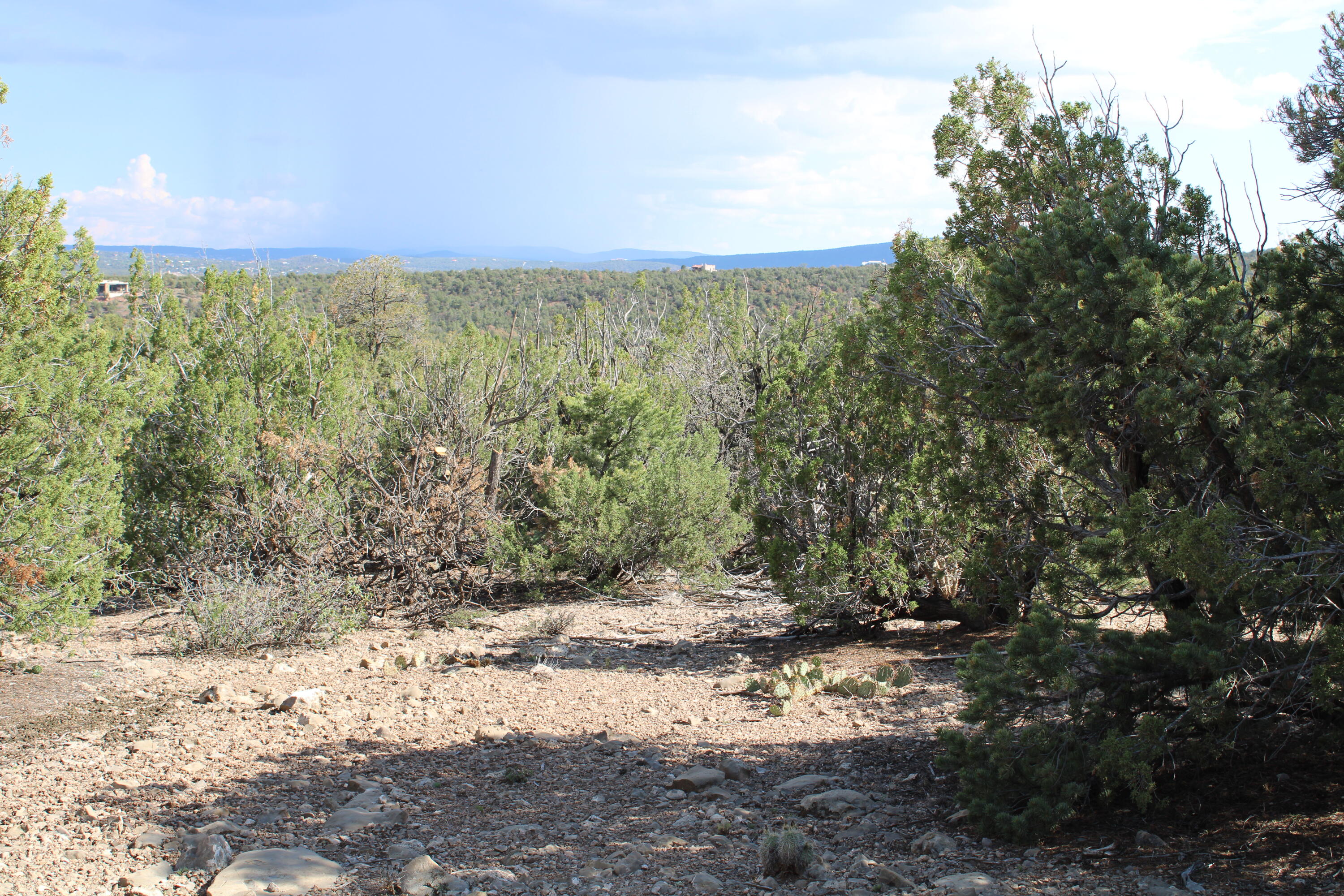 91 Raindance Road, Sandia Park, New Mexico image 5