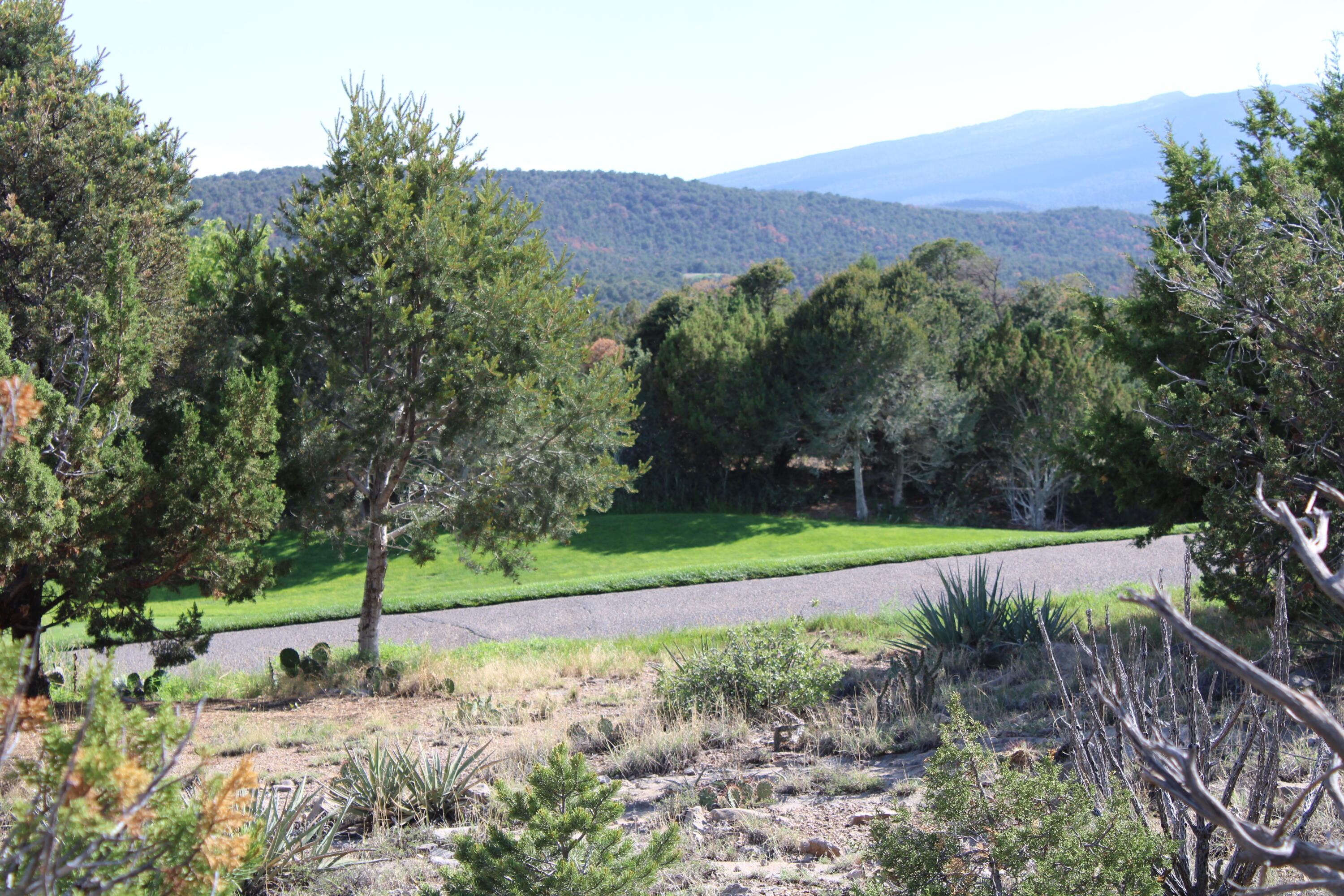 91 Raindance Road, Sandia Park, New Mexico image 10