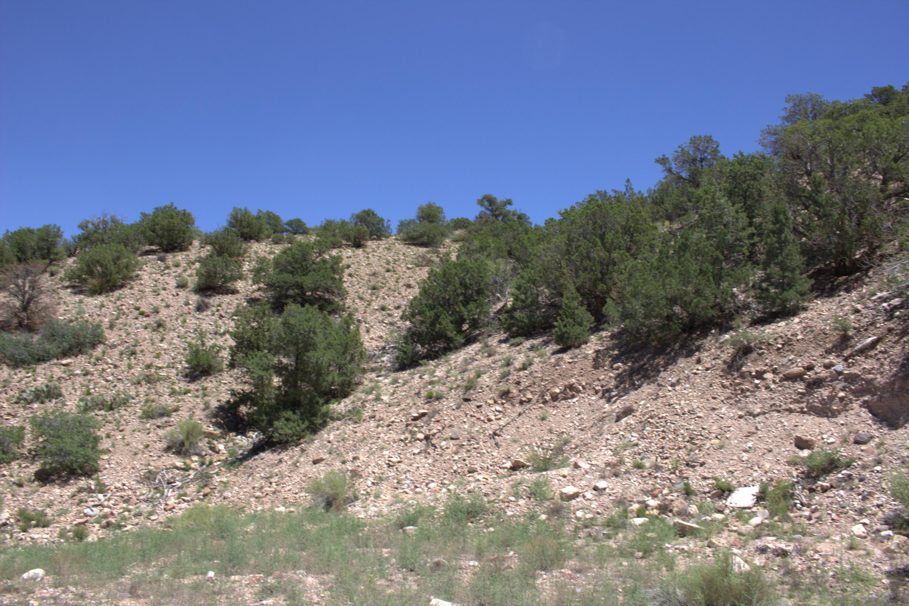 Tres Amigos, Placitas, New Mexico image 2