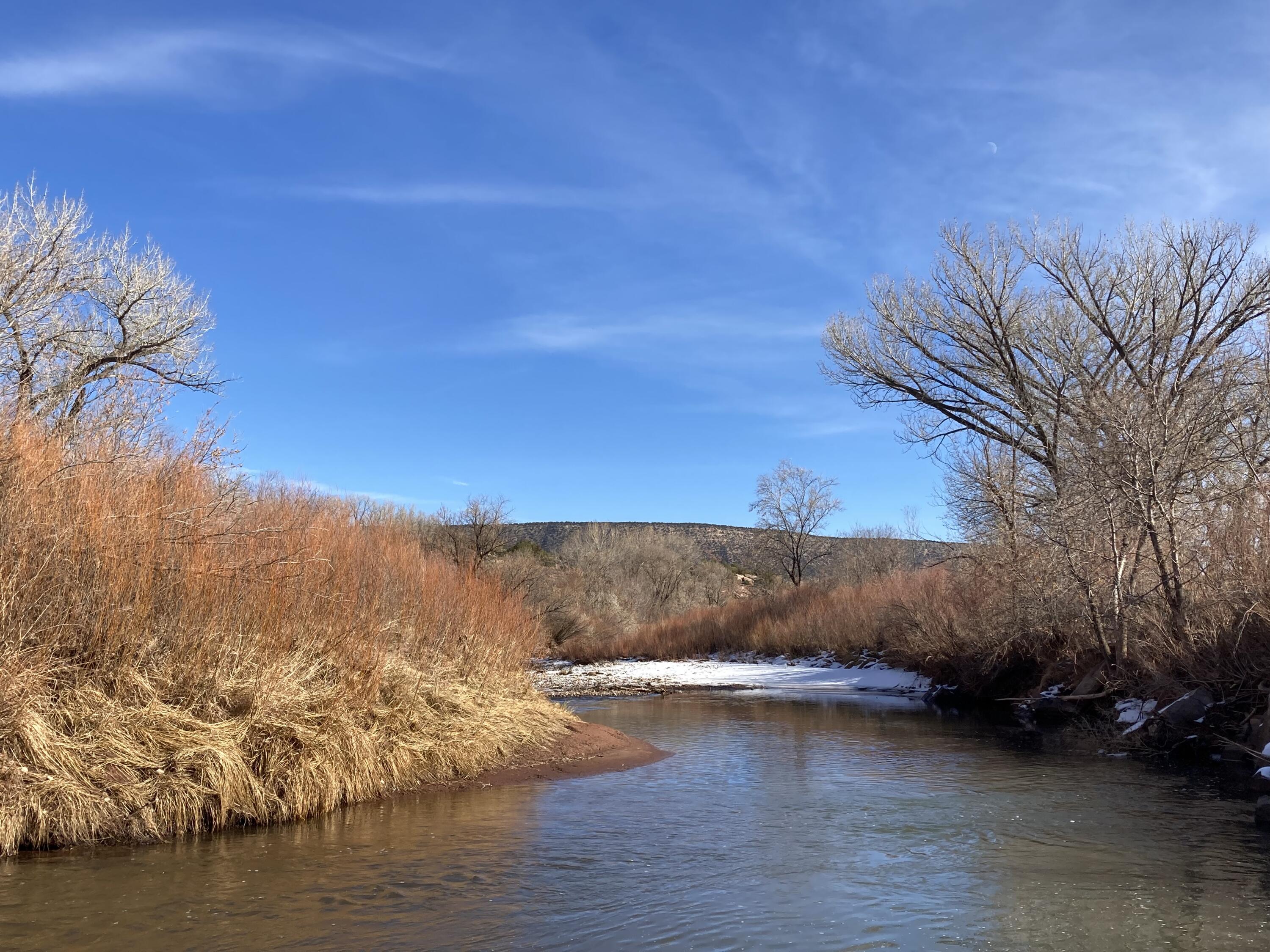 317 Nm-3, Ribera, New Mexico image 36