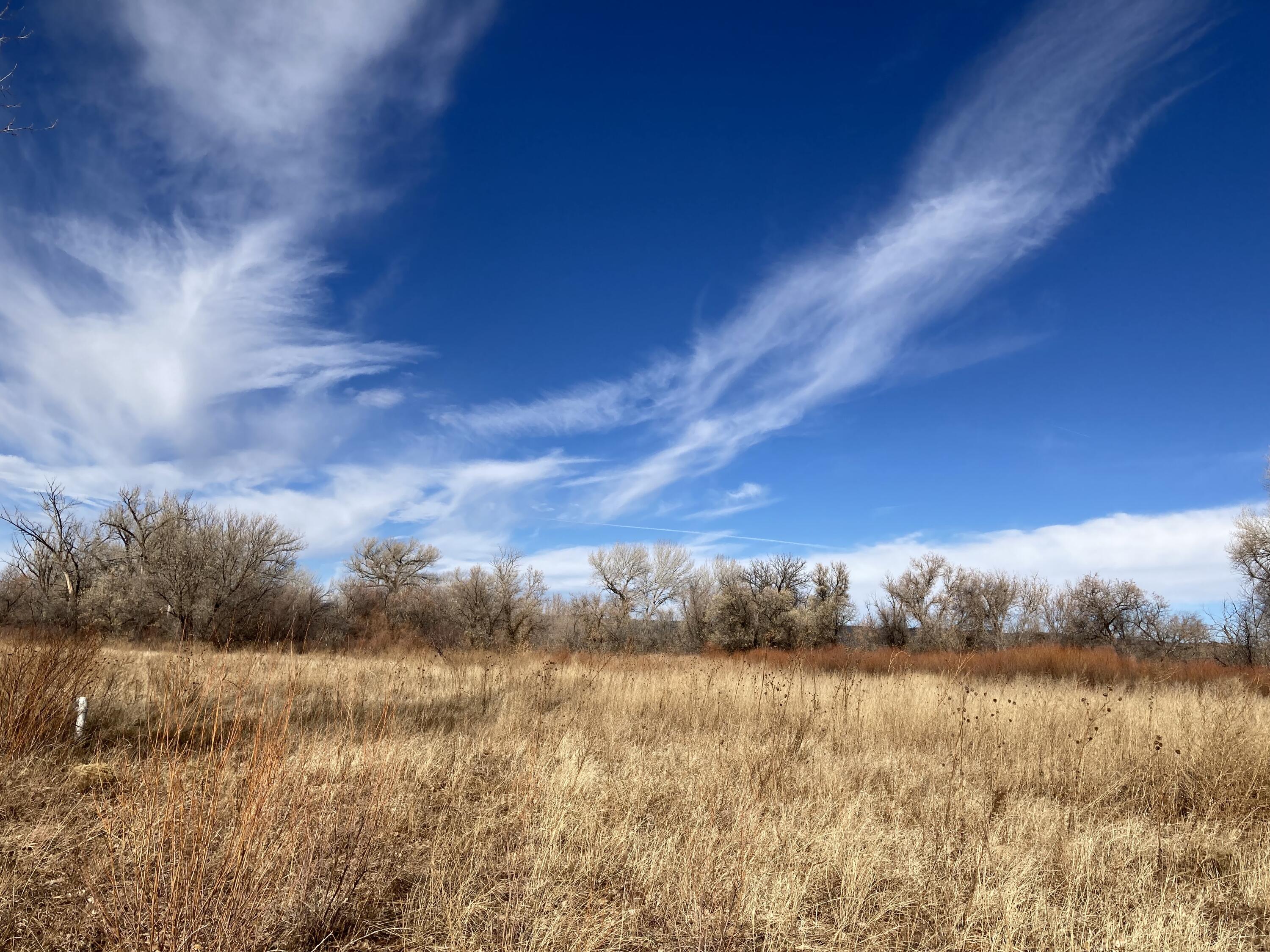 317 Nm-3, Ribera, New Mexico image 13