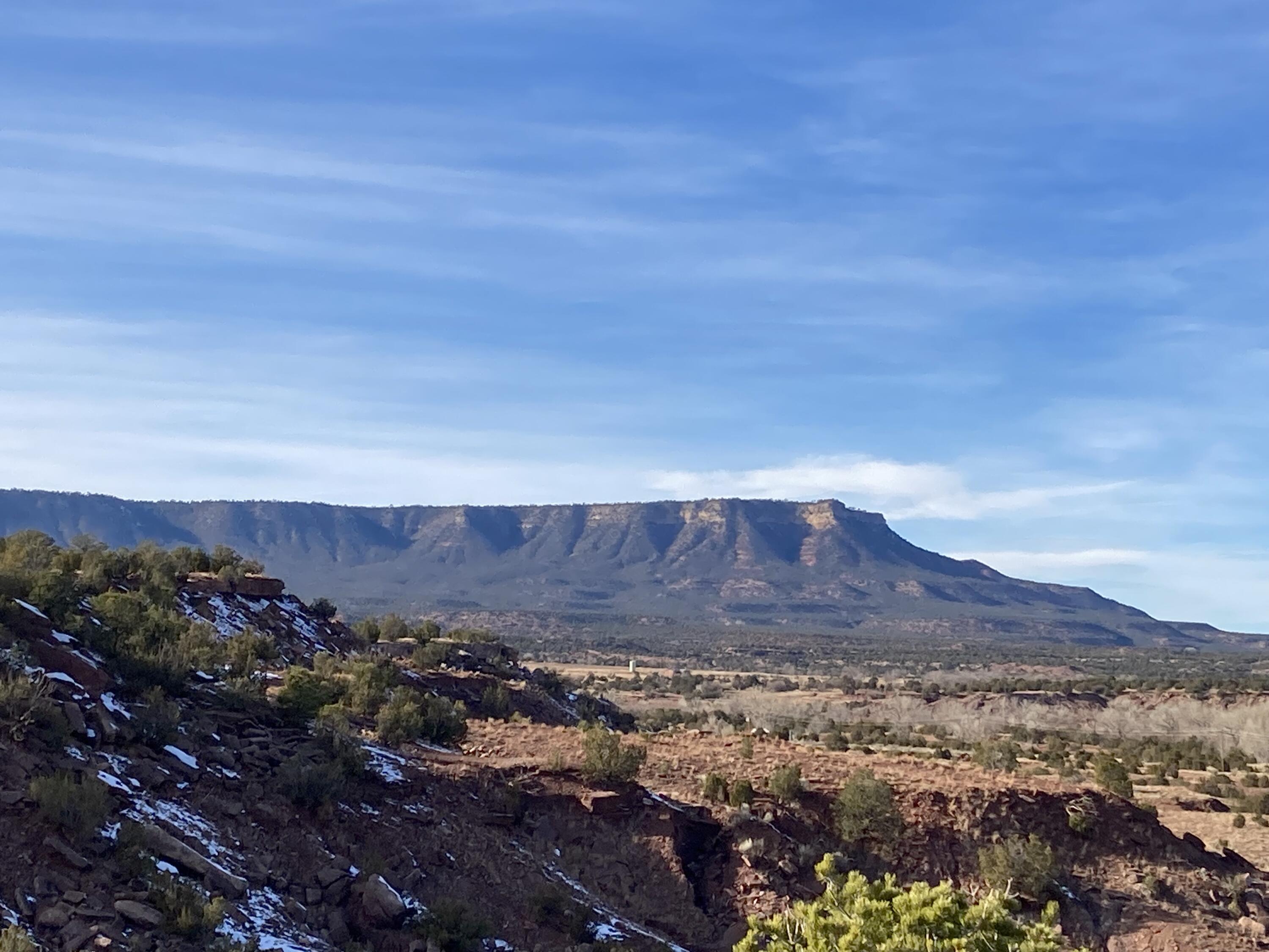 317 Nm-3, Ribera, New Mexico image 46