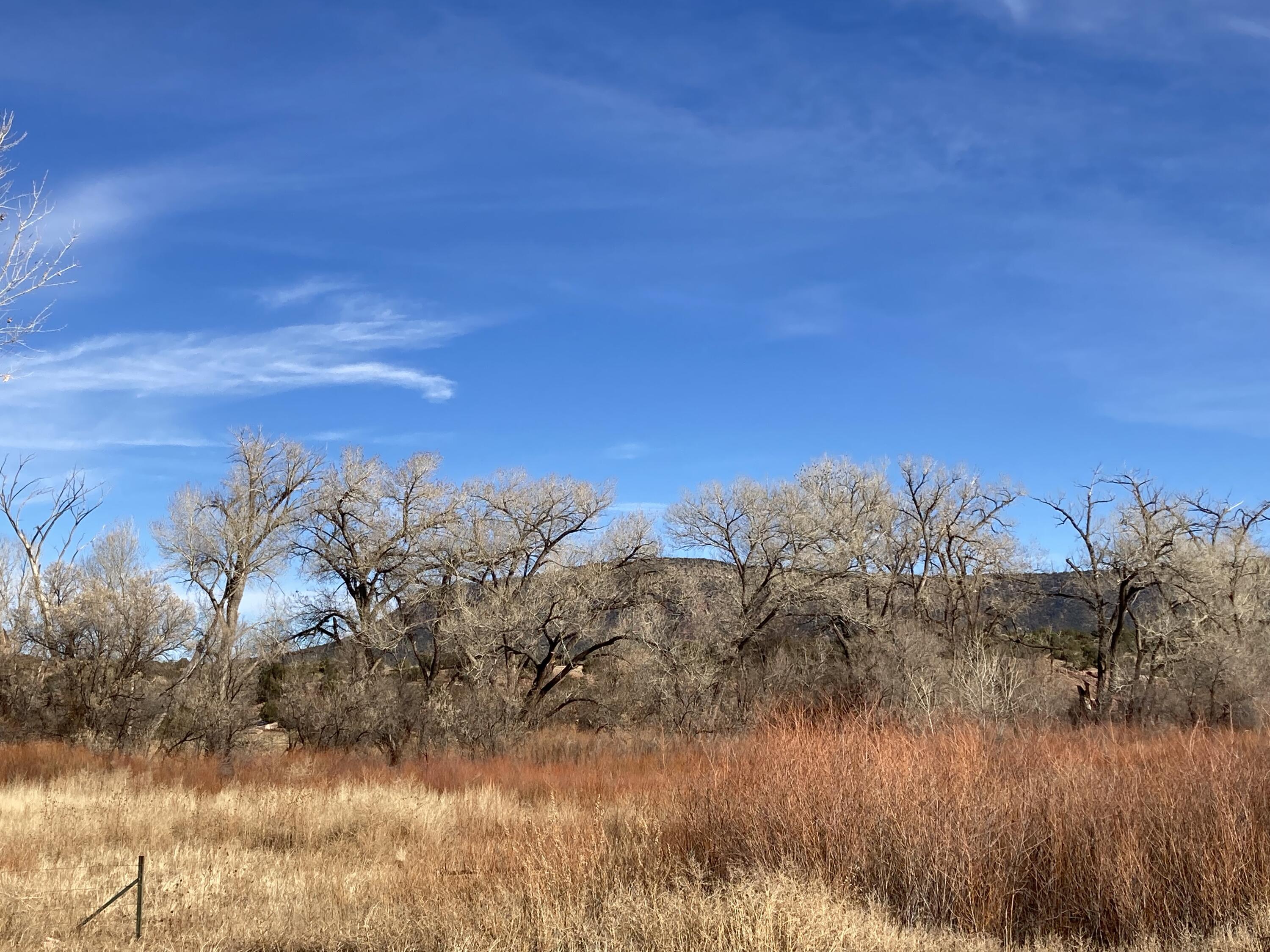 317 Nm-3, Ribera, New Mexico image 44