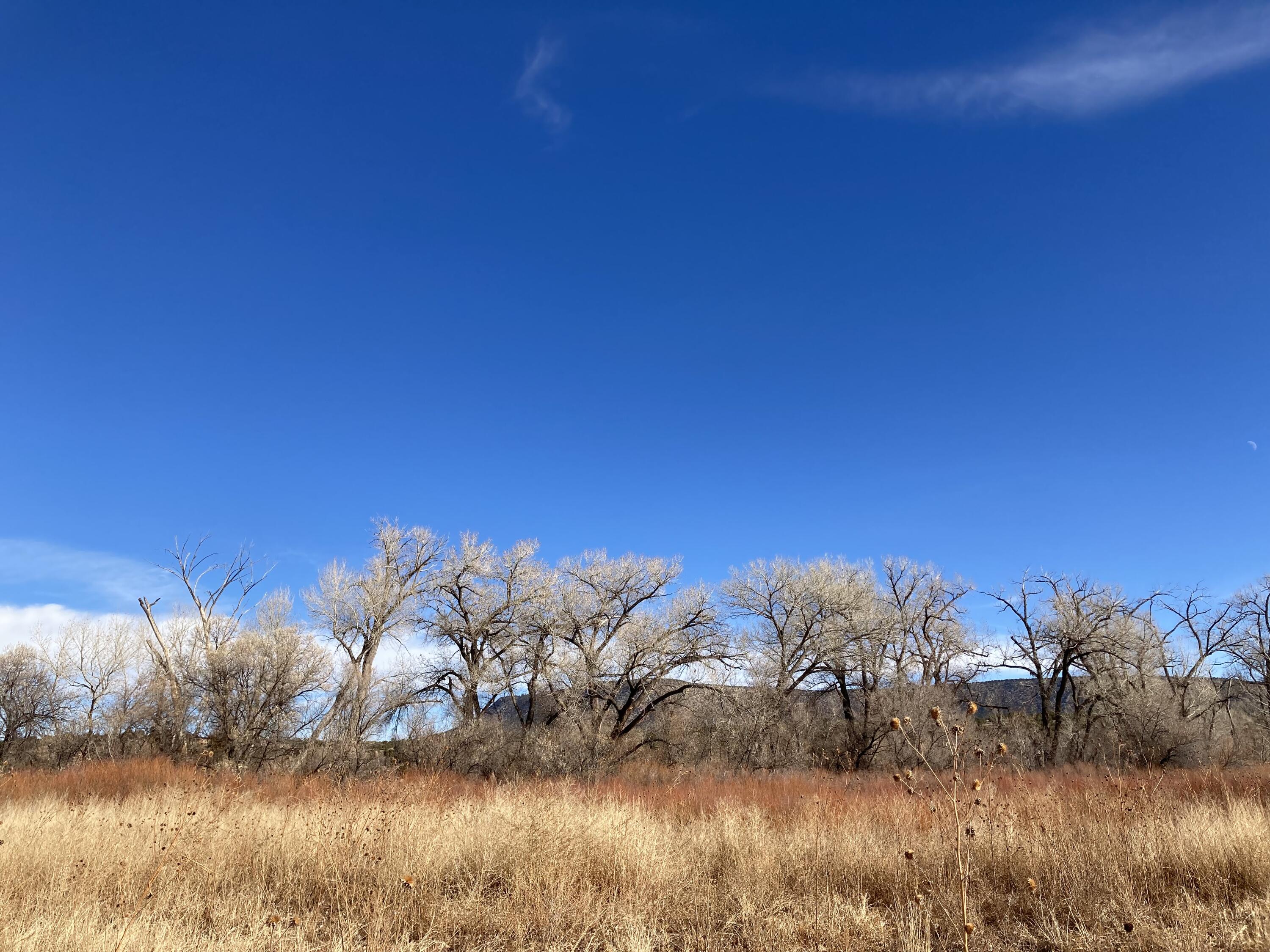 317 Nm-3, Ribera, New Mexico image 14