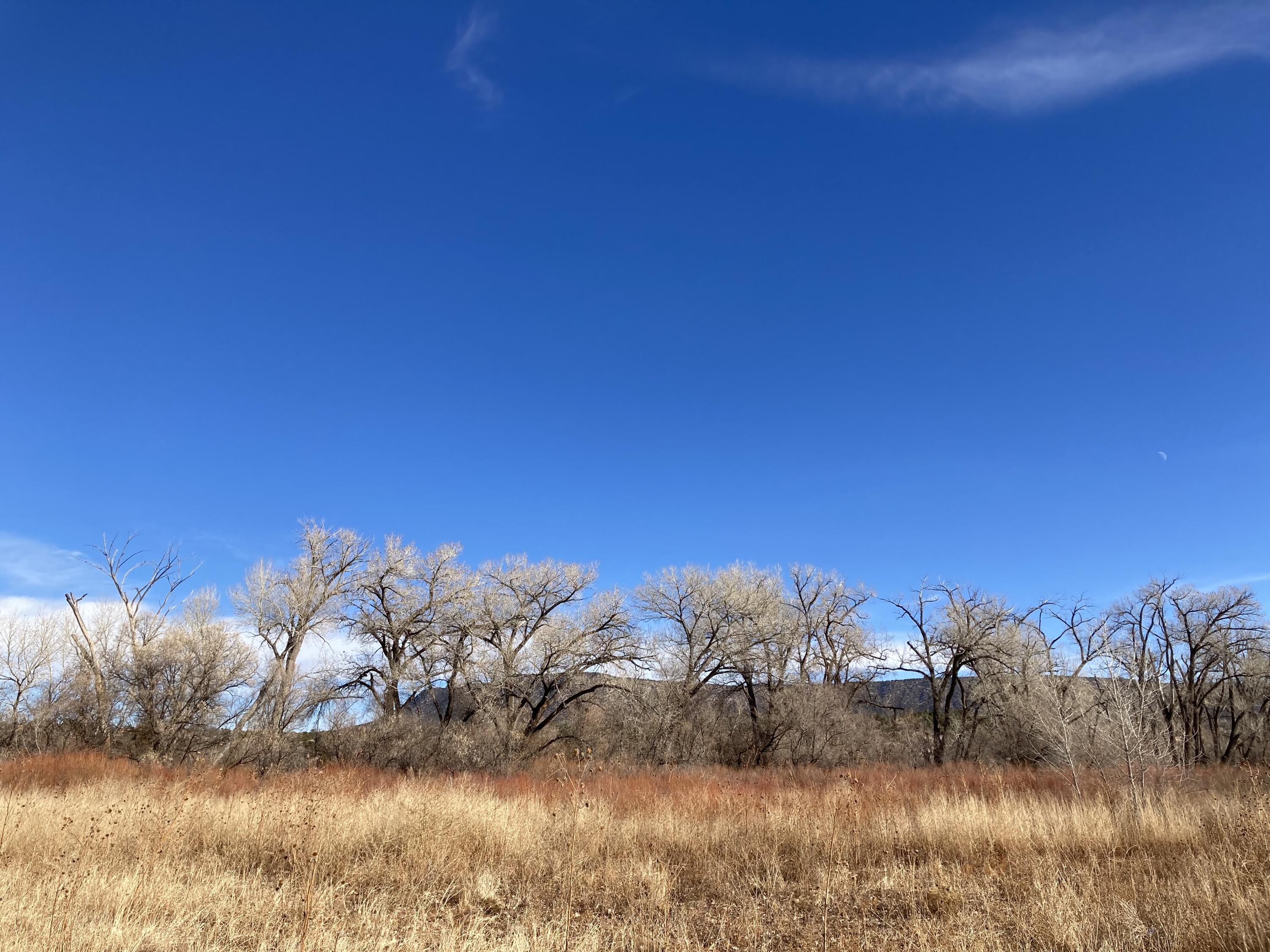 317 Nm-3, Ribera, New Mexico image 11