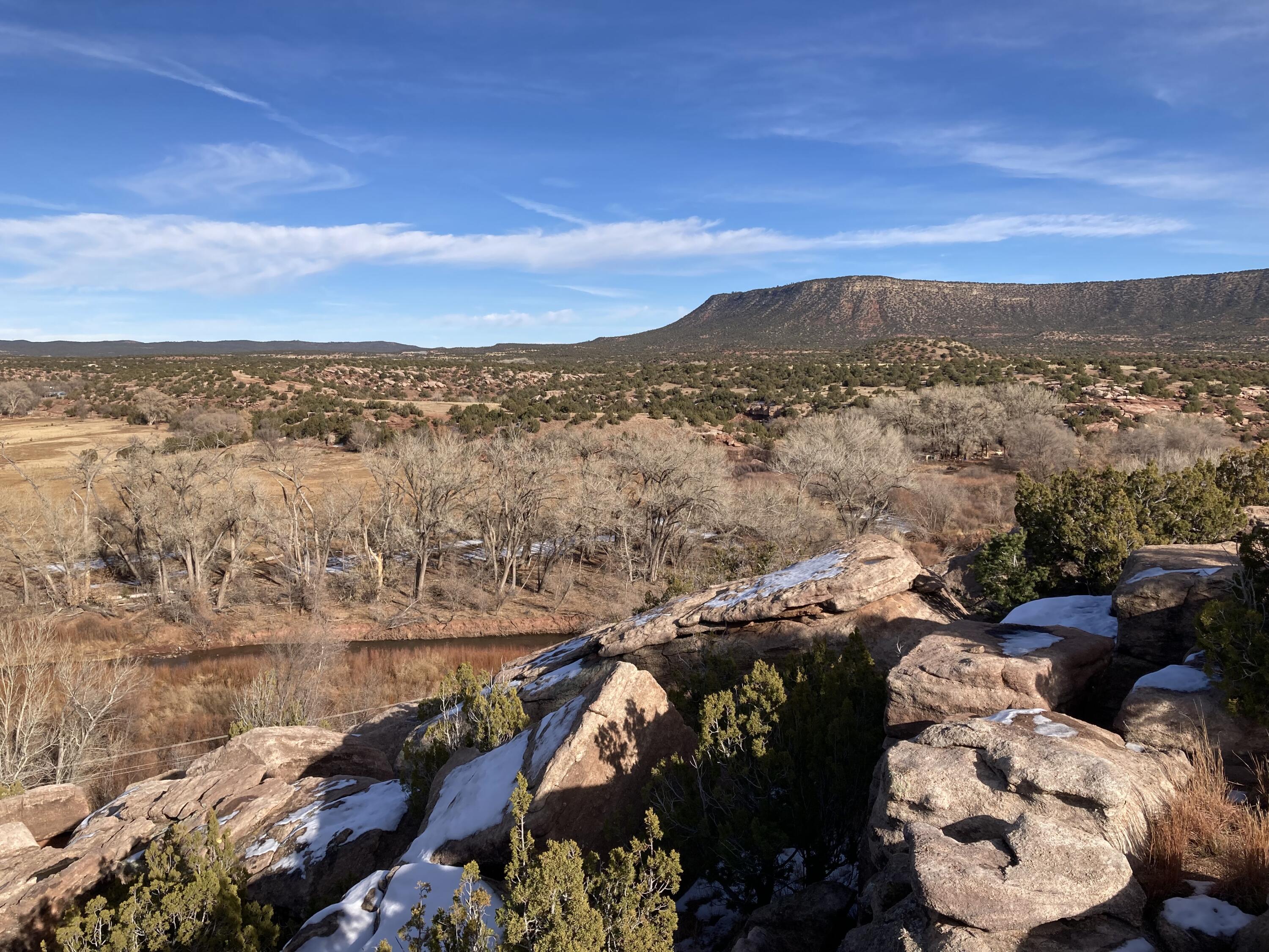 317 Nm-3, Ribera, New Mexico image 49