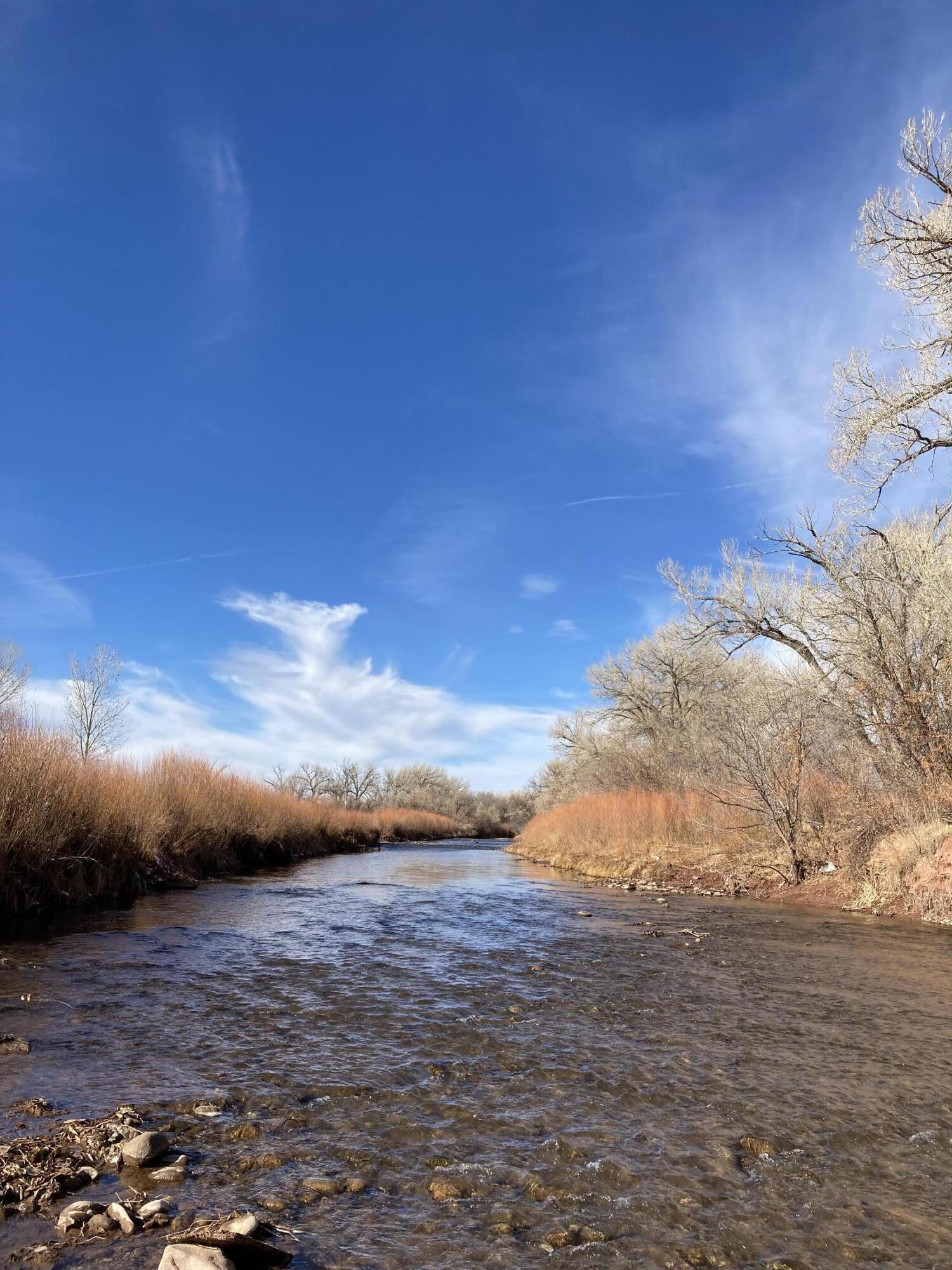 317 Nm-3, Ribera, New Mexico image 32