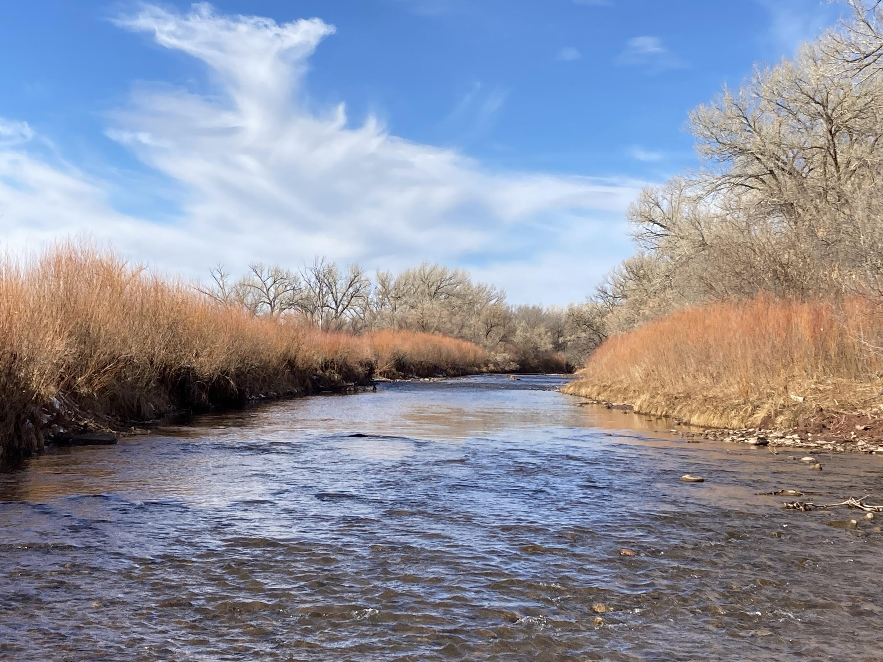 317 Nm-3, Ribera, New Mexico image 31