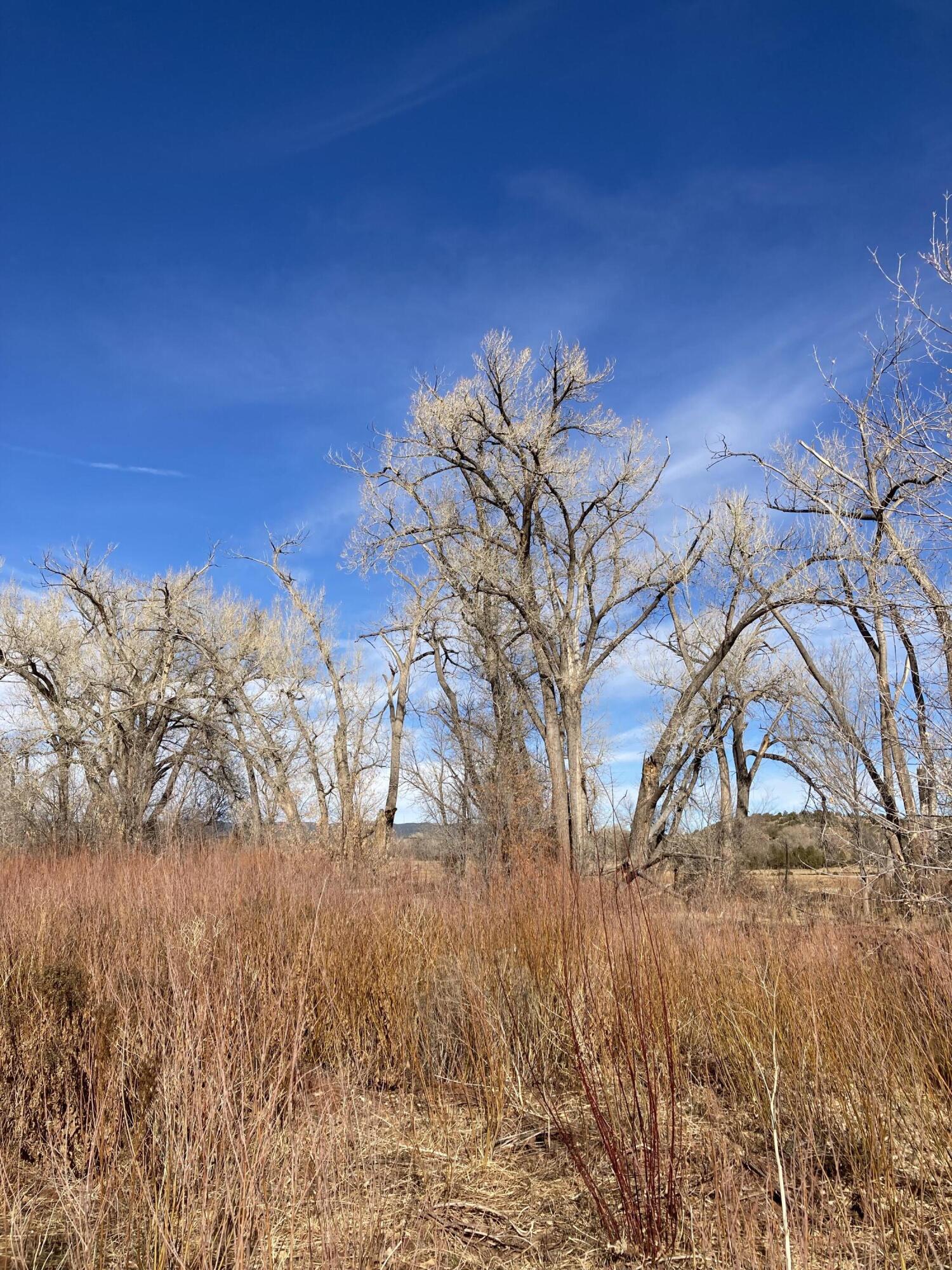 317 Nm-3, Ribera, New Mexico image 40