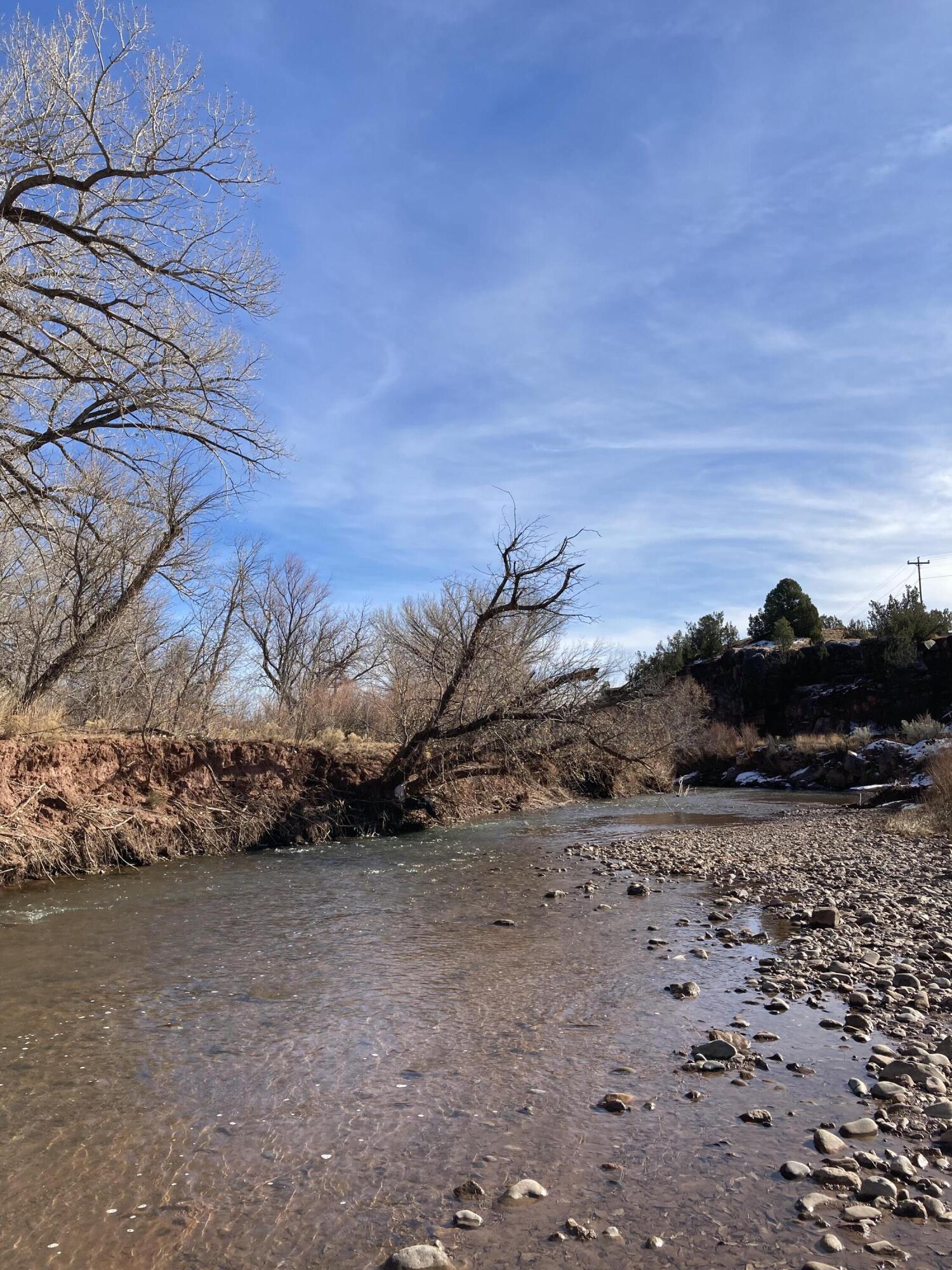 317 Nm-3, Ribera, New Mexico image 33