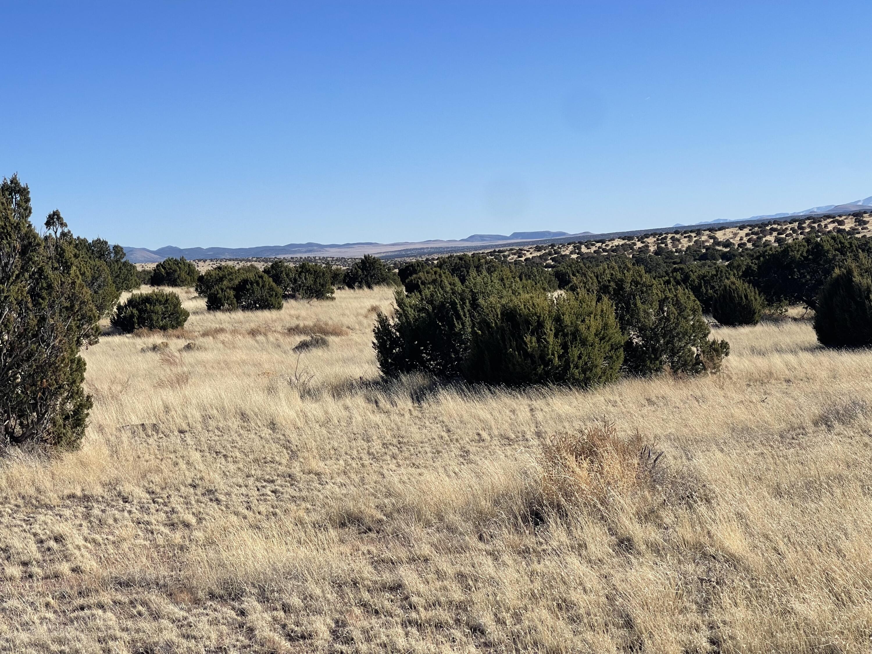 Lot 24 Pinon Springs Road, Magdalena, New Mexico image 4