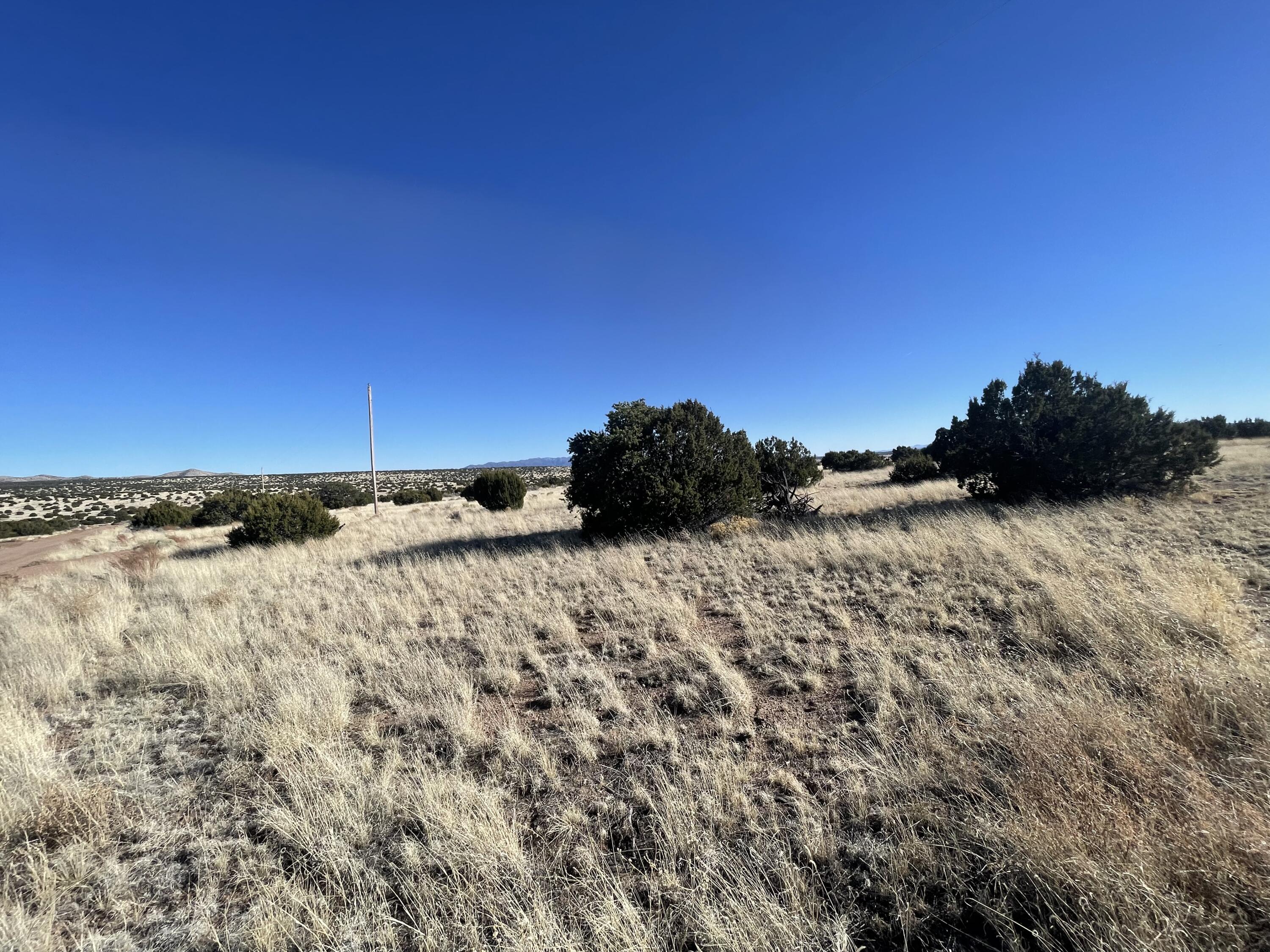 Lot 24 Pinon Springs Road, Magdalena, New Mexico image 11