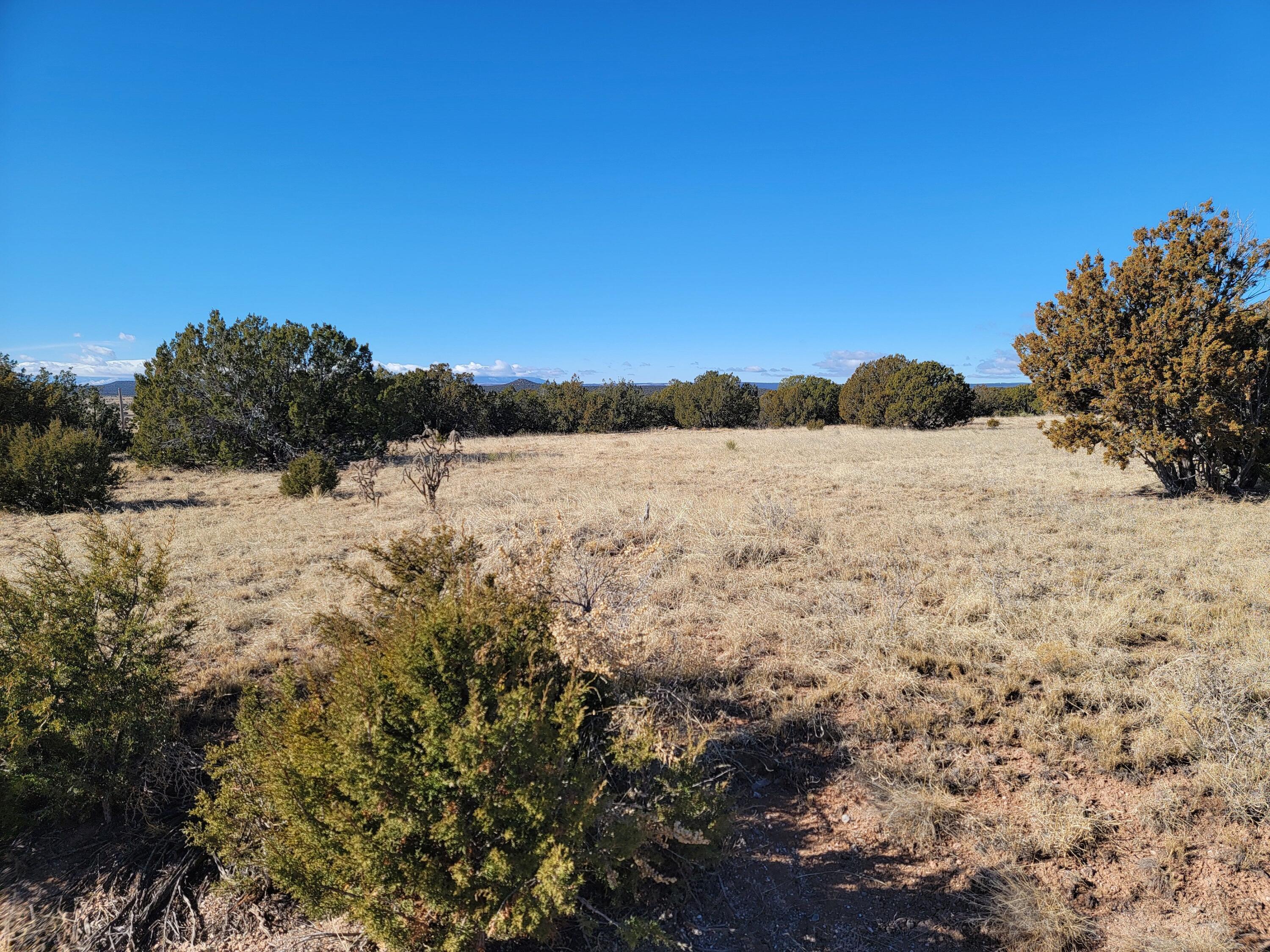 33 Bullock Road, Moriarty, New Mexico image 1