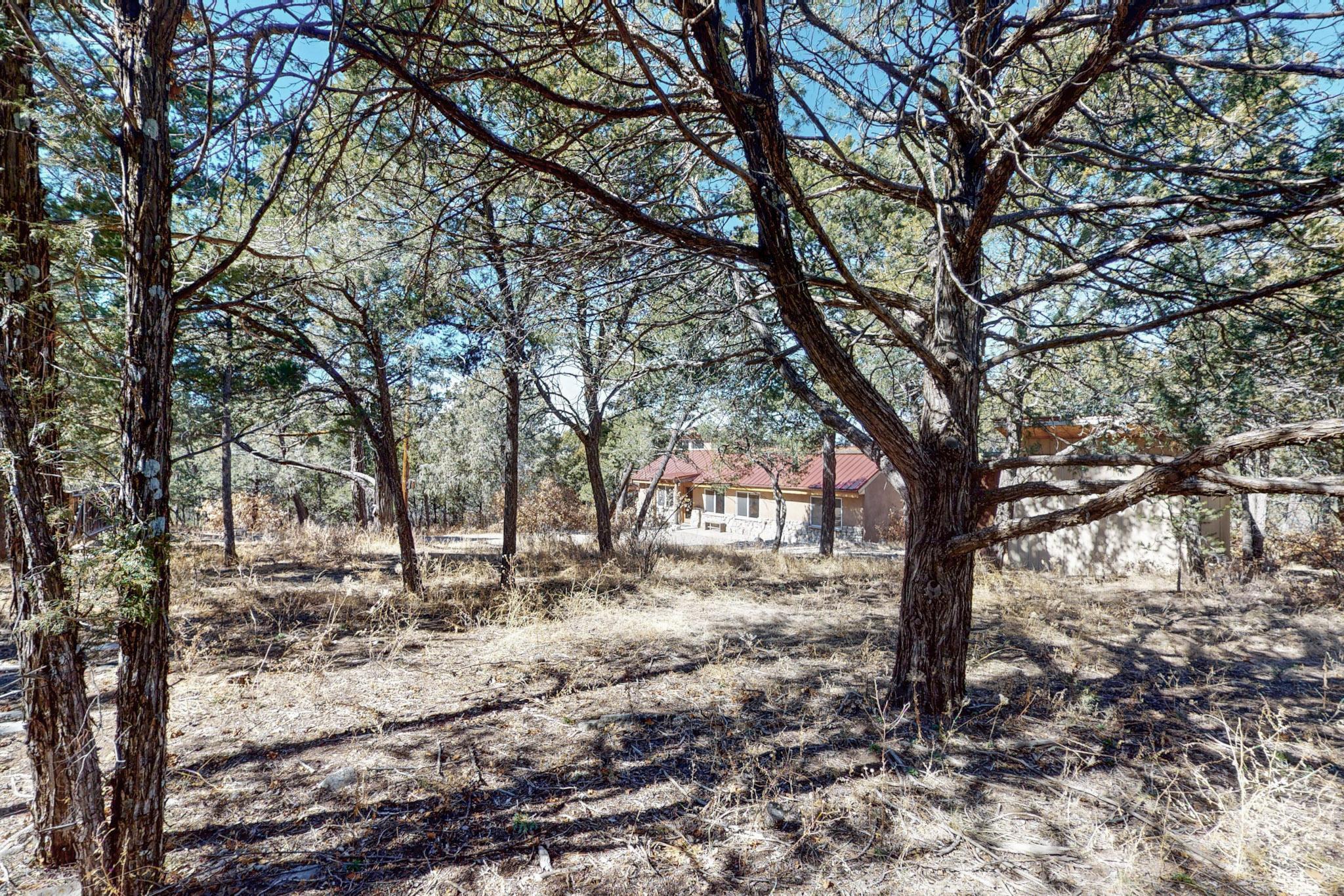 10 Crestwood Loop Drive, Tijeras, New Mexico image 45