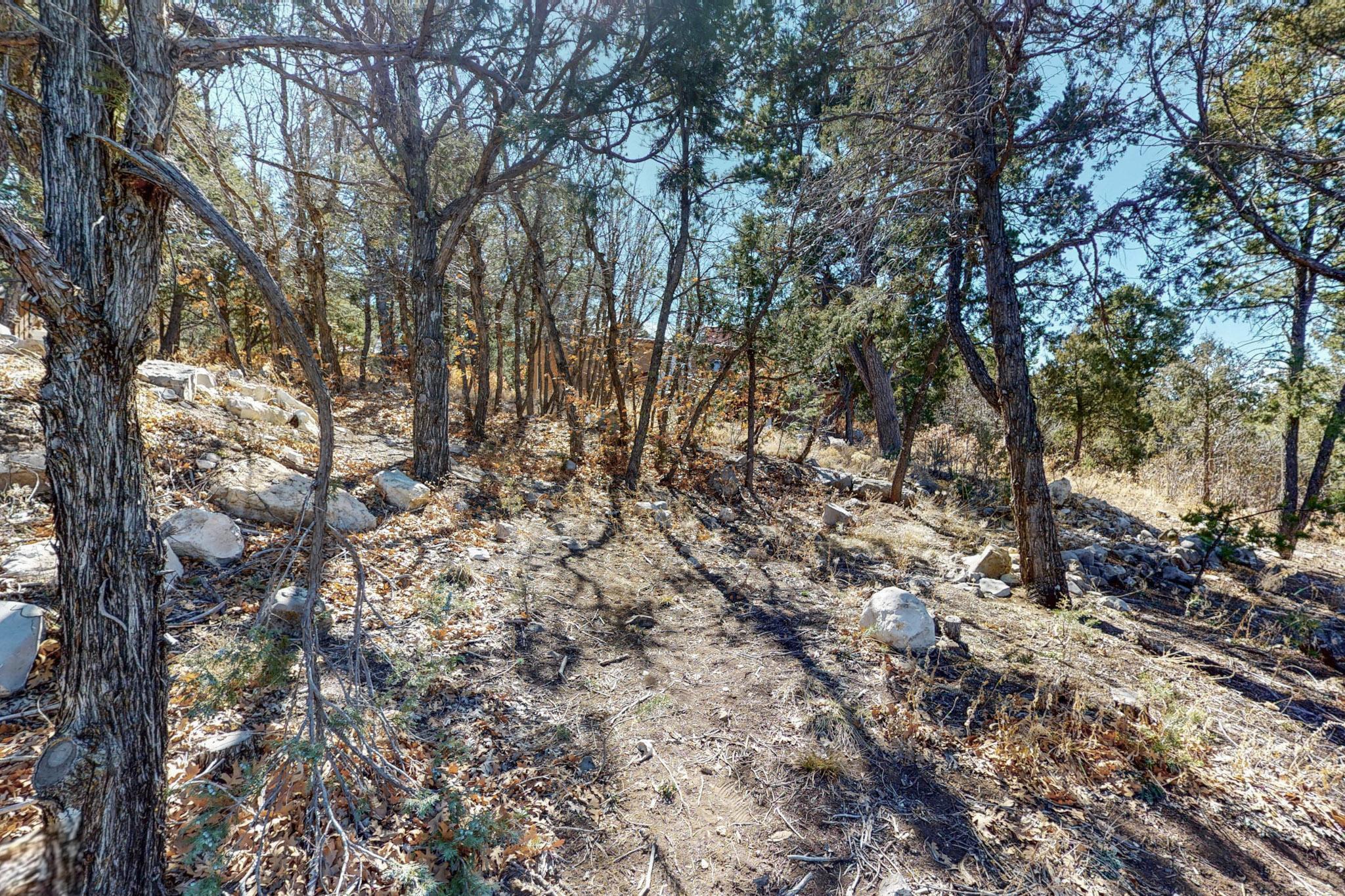 10 Crestwood Loop Drive, Tijeras, New Mexico image 44
