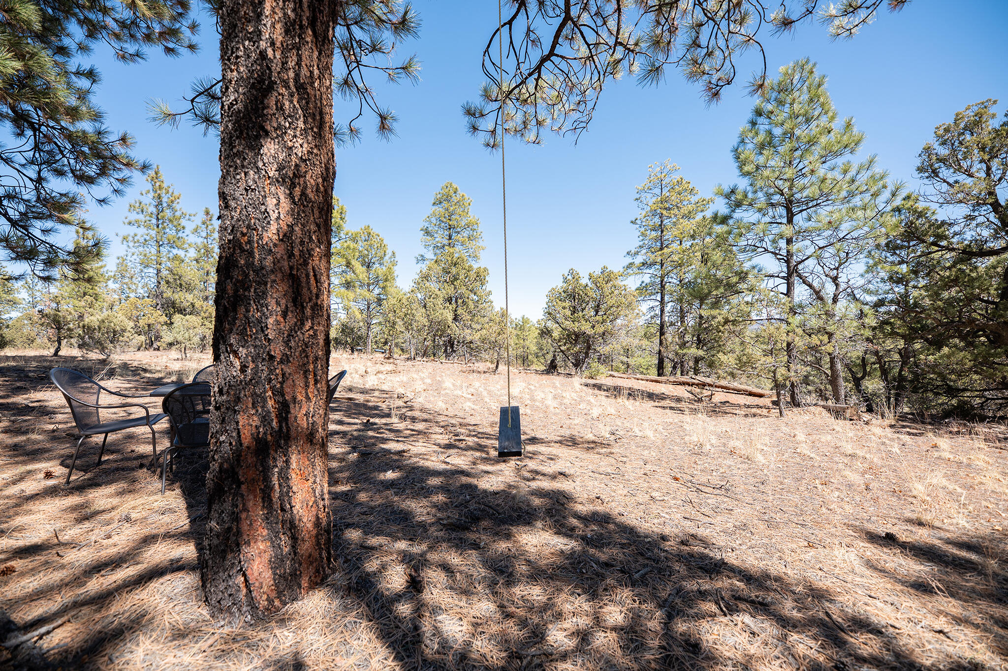 175 Camino De Rancheros Place, Grants, New Mexico image 46