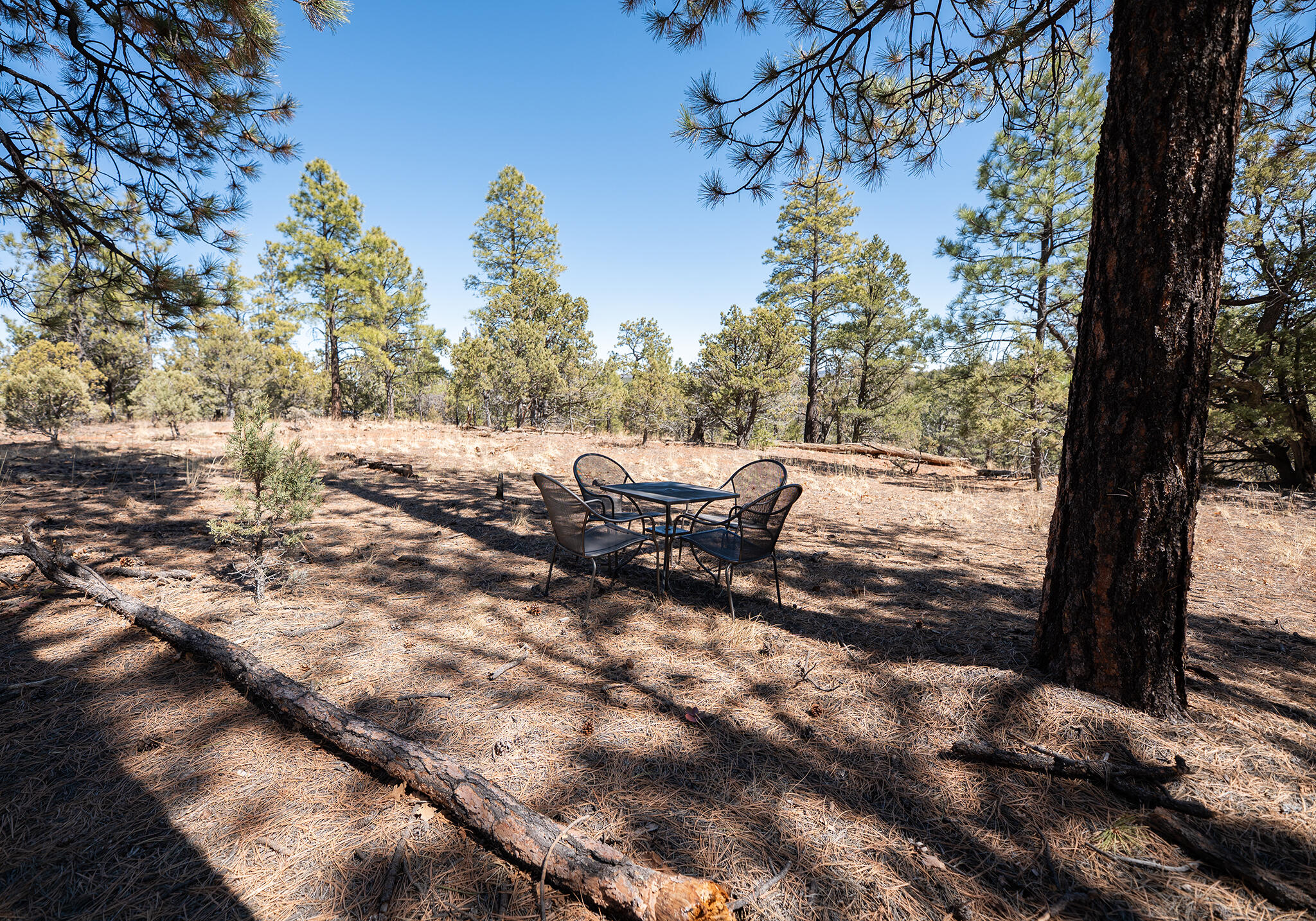 175 Camino De Rancheros Place, Grants, New Mexico image 45