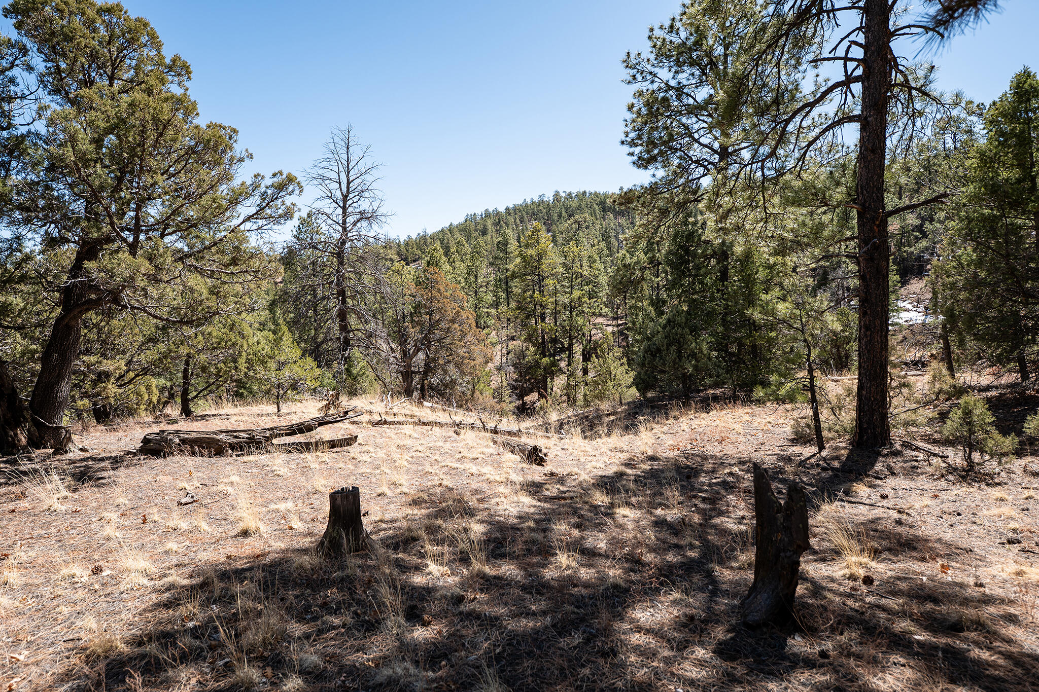 175 Camino De Rancheros Place, Grants, New Mexico image 47