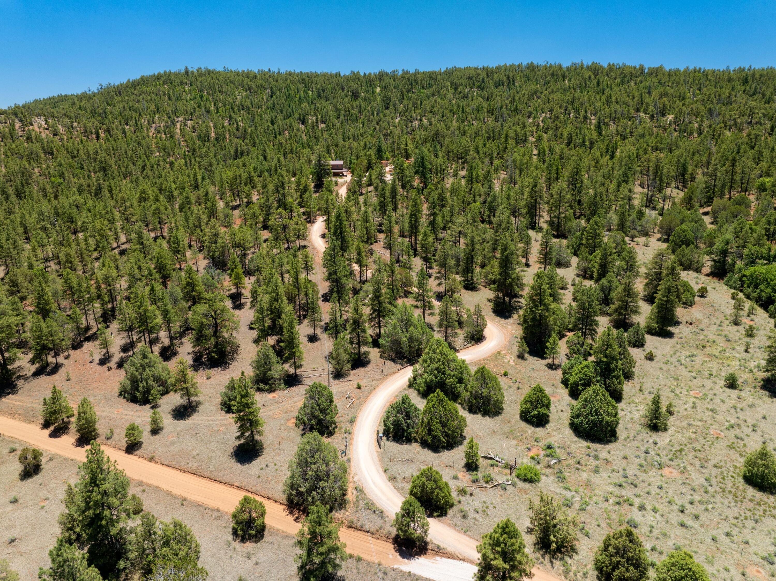175 Camino De Rancheros Place, Grants, New Mexico image 3