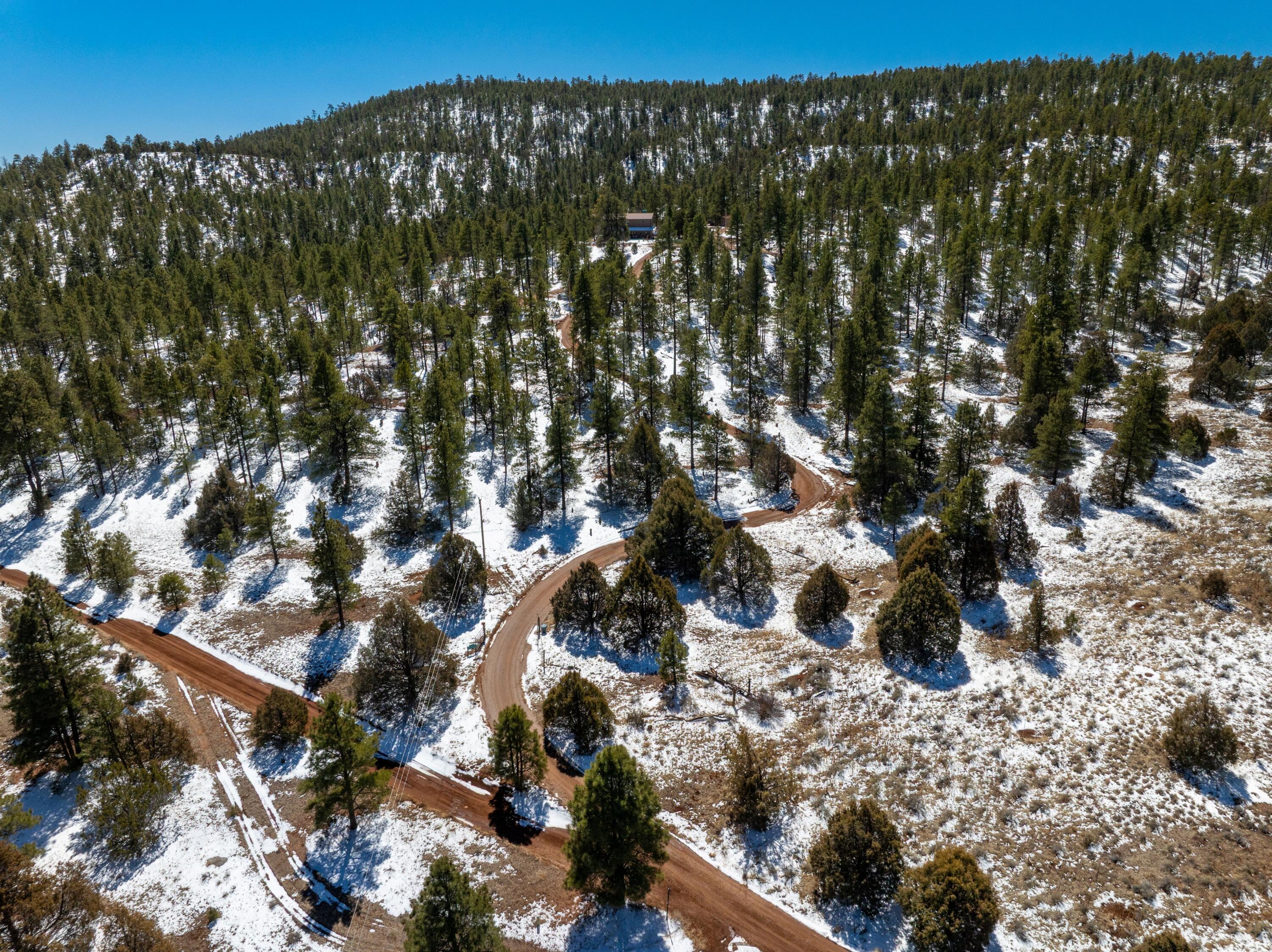 175 Camino De Rancheros Place, Grants, New Mexico image 4