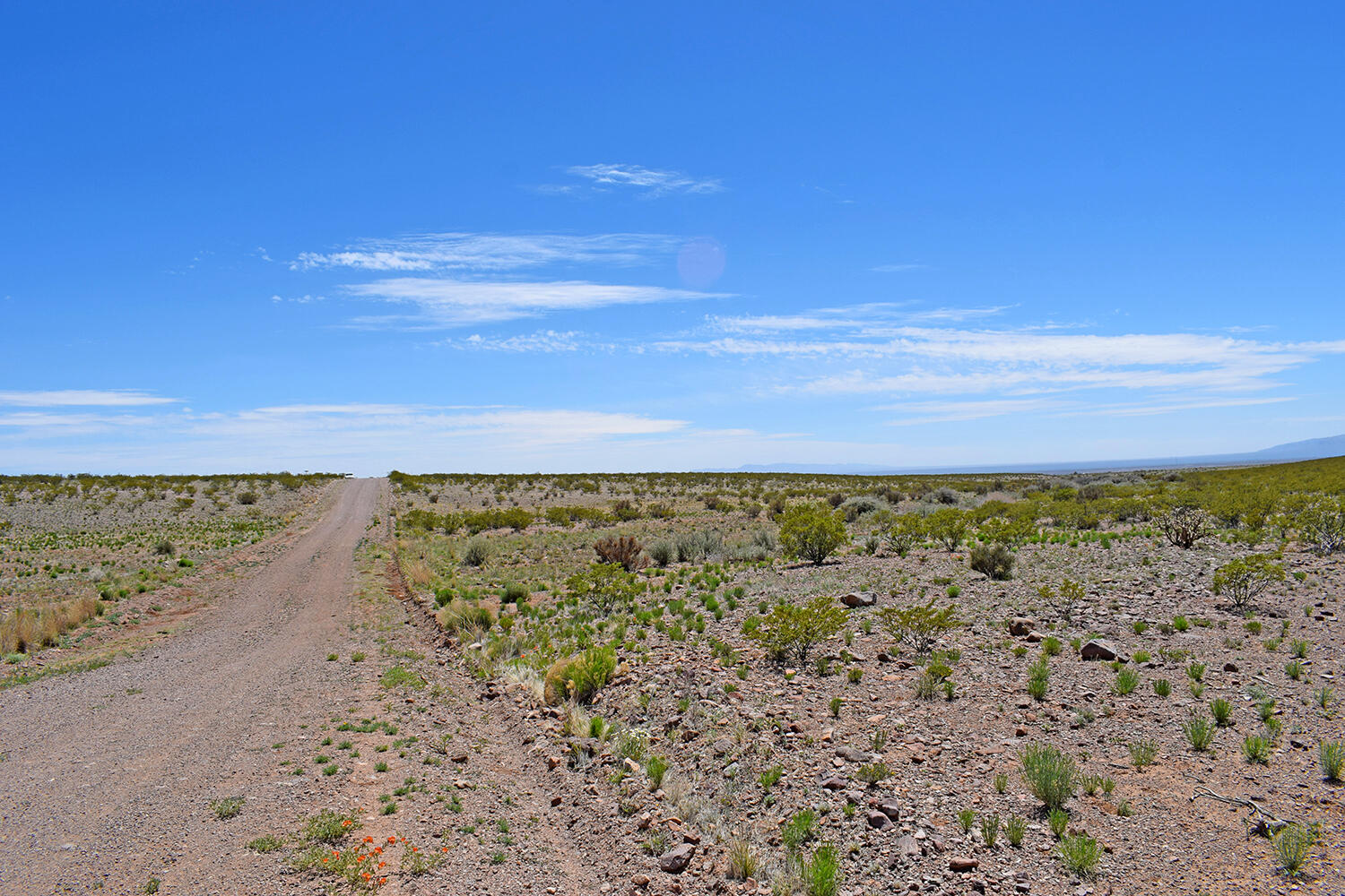 Lot 380 High Chaparral Road, San Antonio, New Mexico image 25