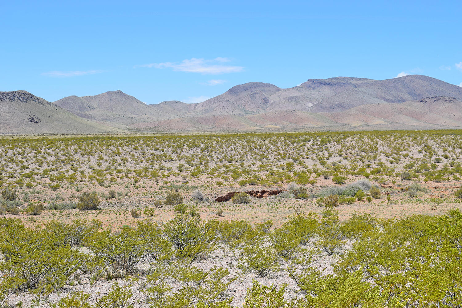 Lot 380 High Chaparral Road, San Antonio, New Mexico image 18