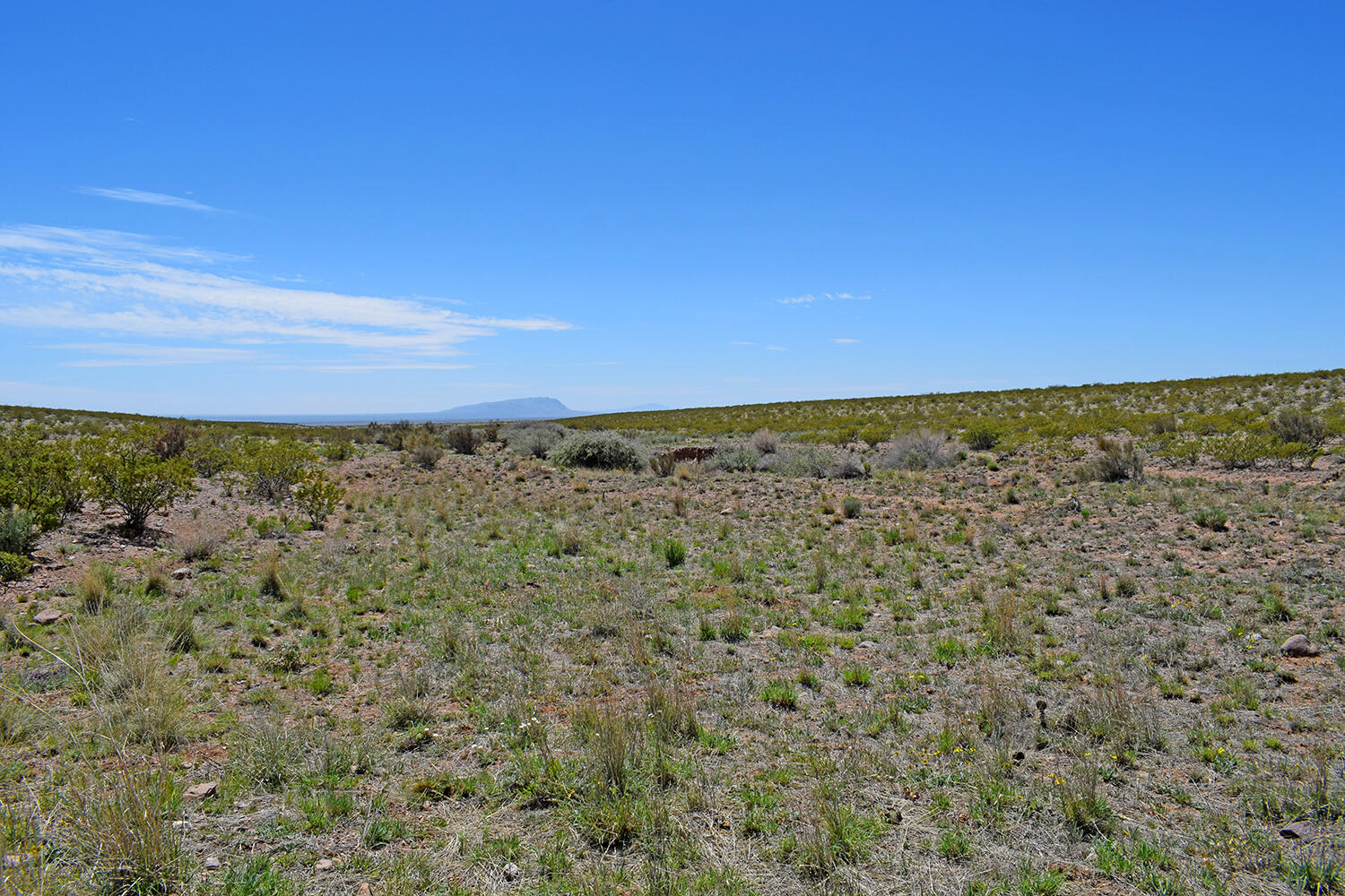 Lot 380 High Chaparral Road, San Antonio, New Mexico image 19