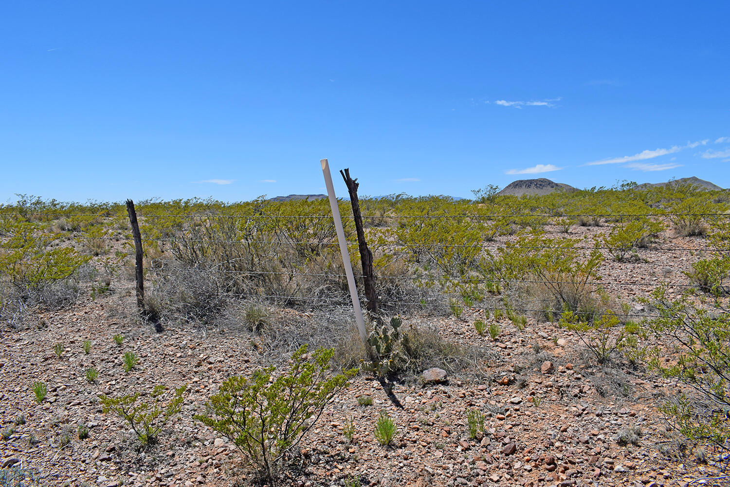 Lot 380 High Chaparral Road, San Antonio, New Mexico image 40