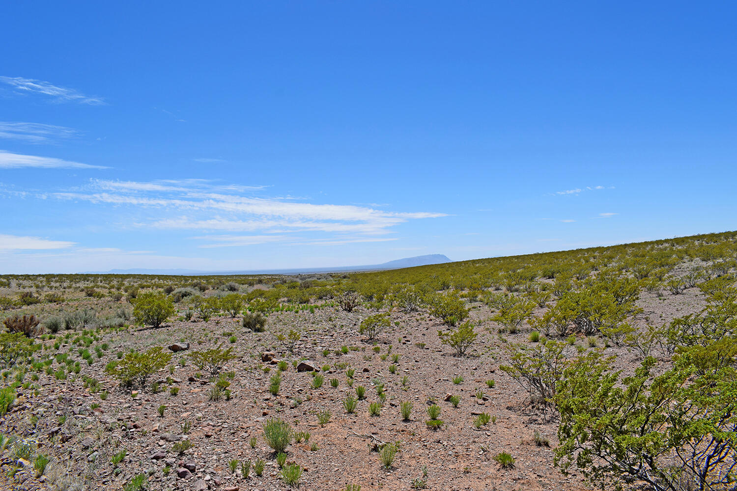 Lot 380 High Chaparral Road, San Antonio, New Mexico image 24