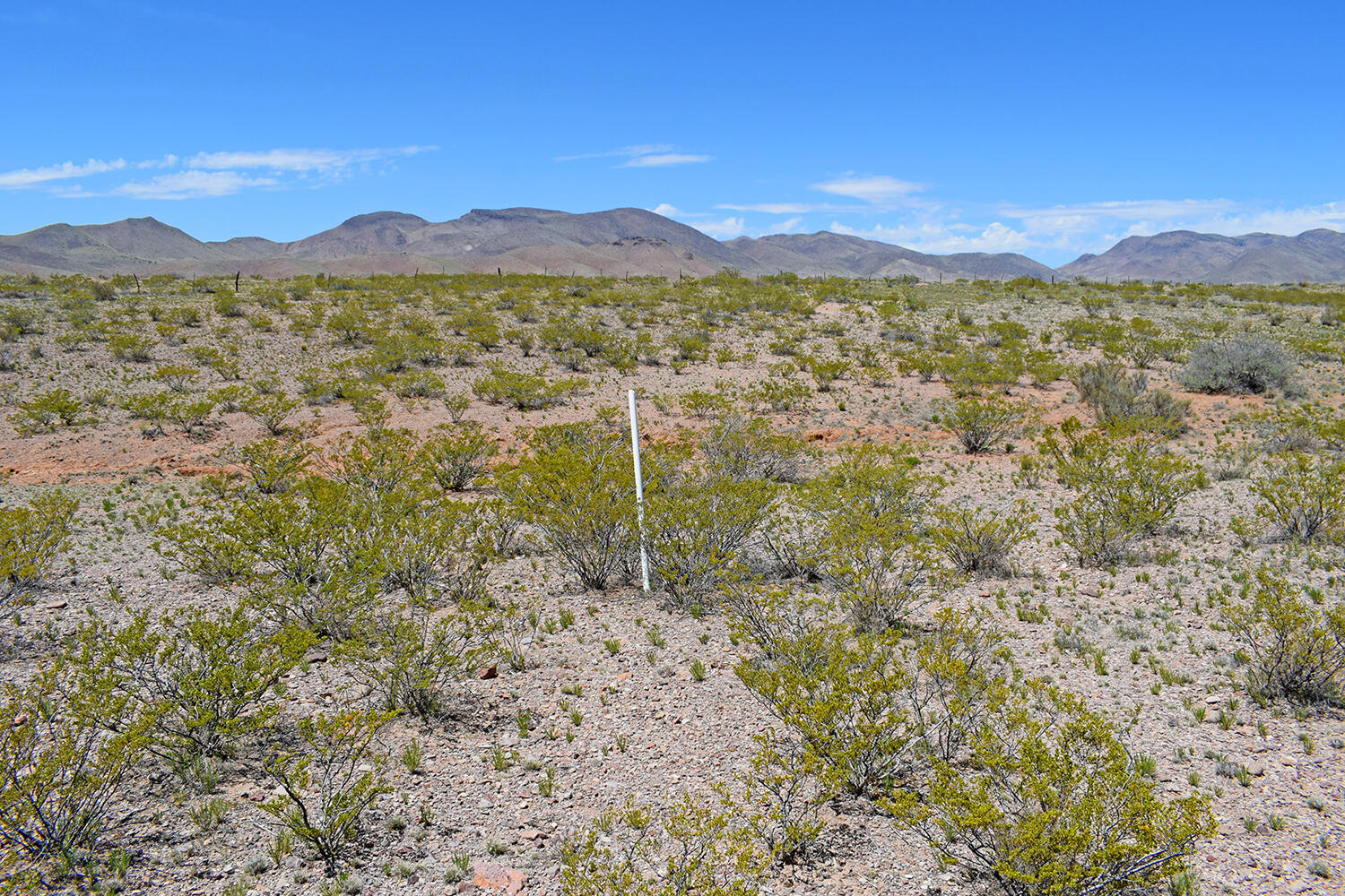 Lot 380 High Chaparral Road, San Antonio, New Mexico image 33