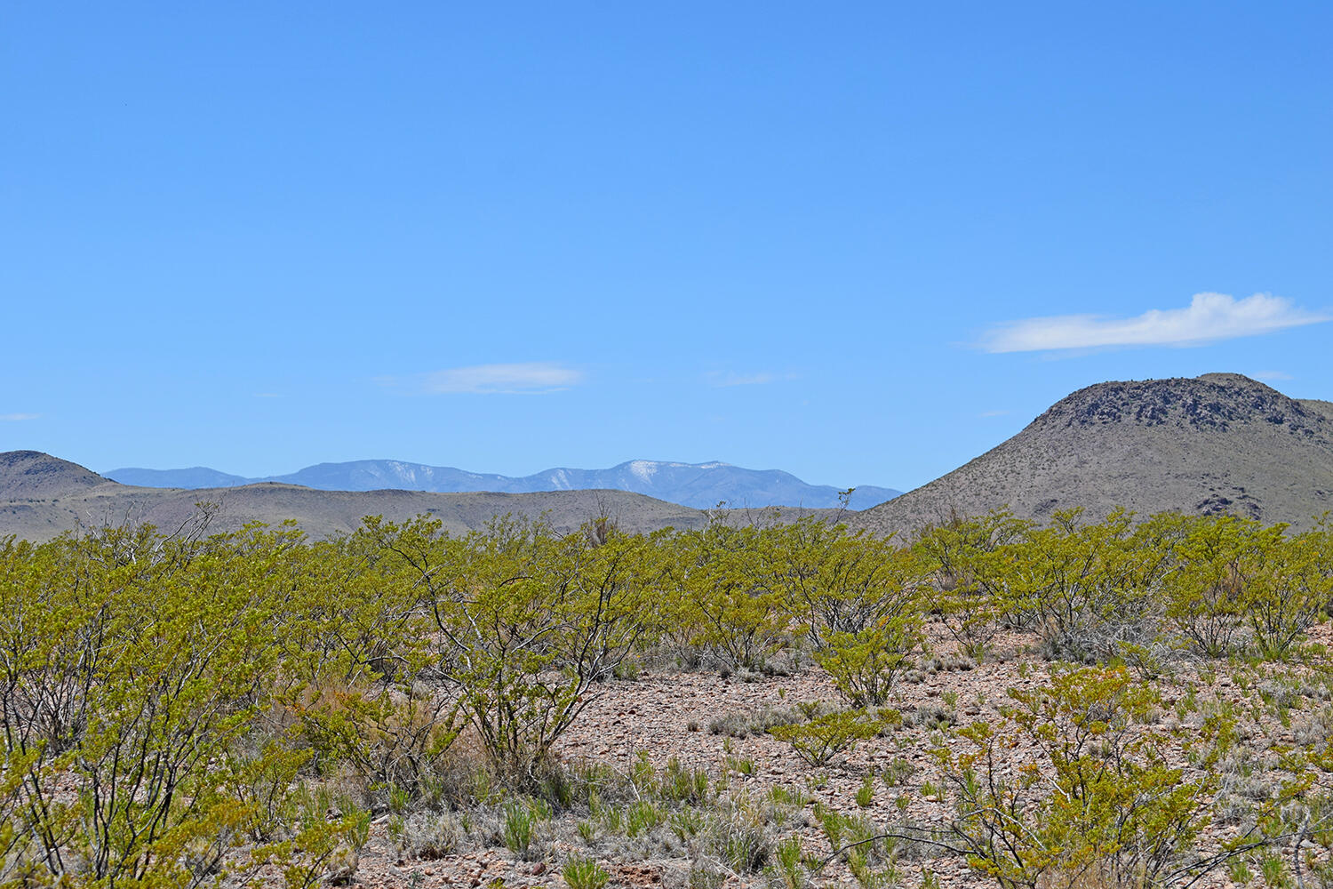 Lot 380 High Chaparral Road, San Antonio, New Mexico image 45