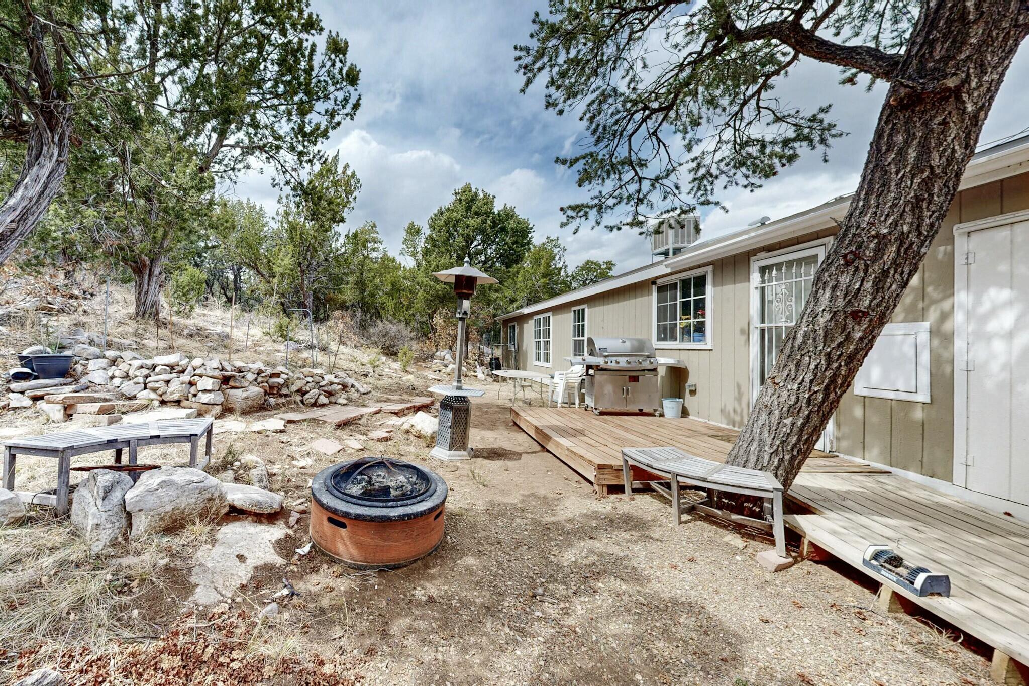 15 William Bonney Road, Edgewood, New Mexico image 7