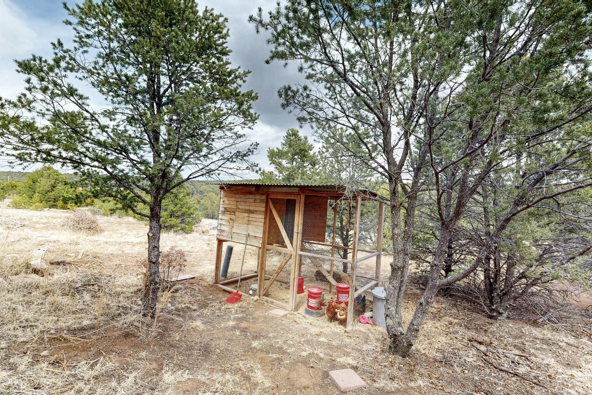15 William Bonney Road, Edgewood, New Mexico image 38