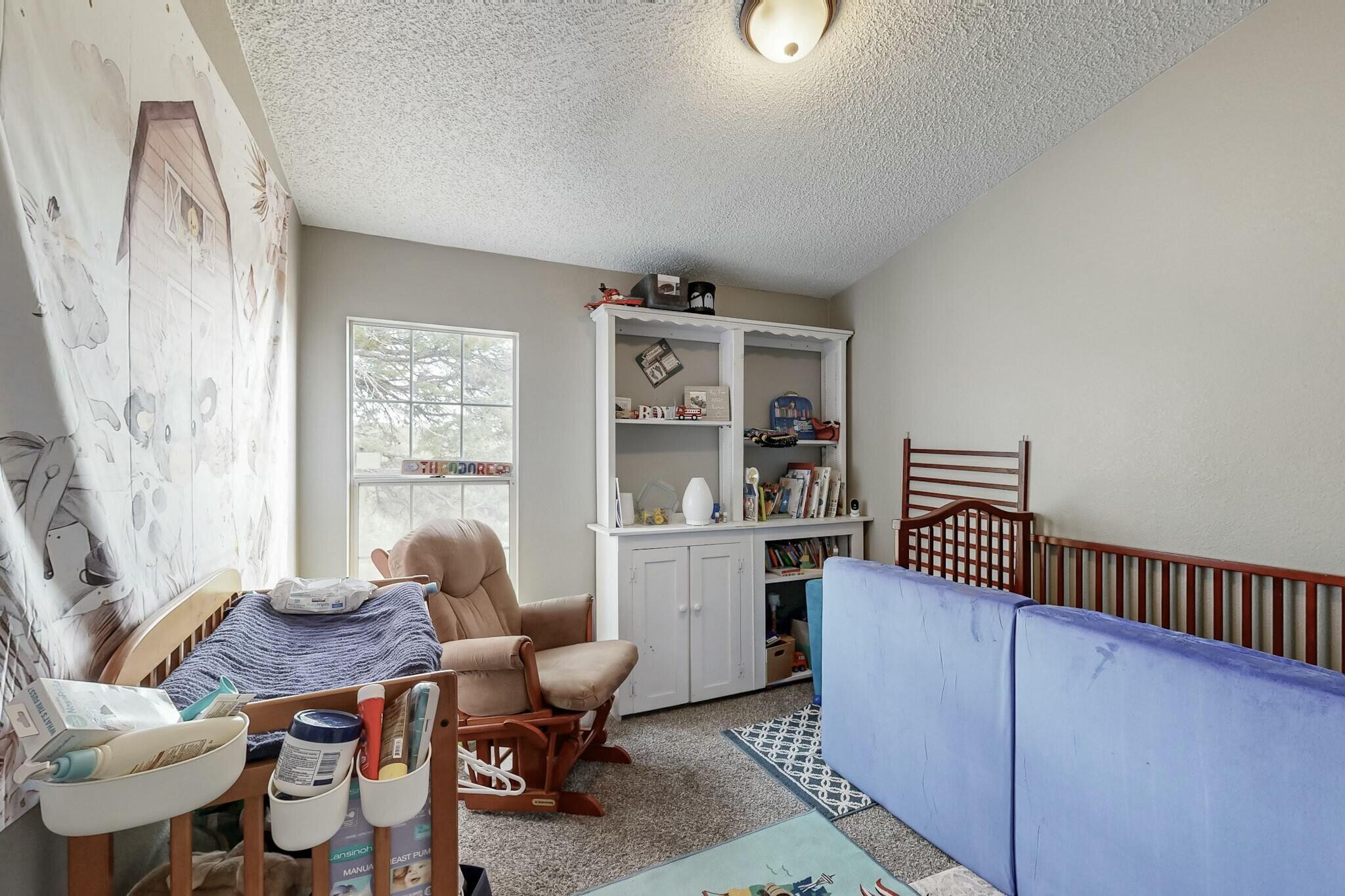 15 William Bonney Road, Edgewood, New Mexico image 28