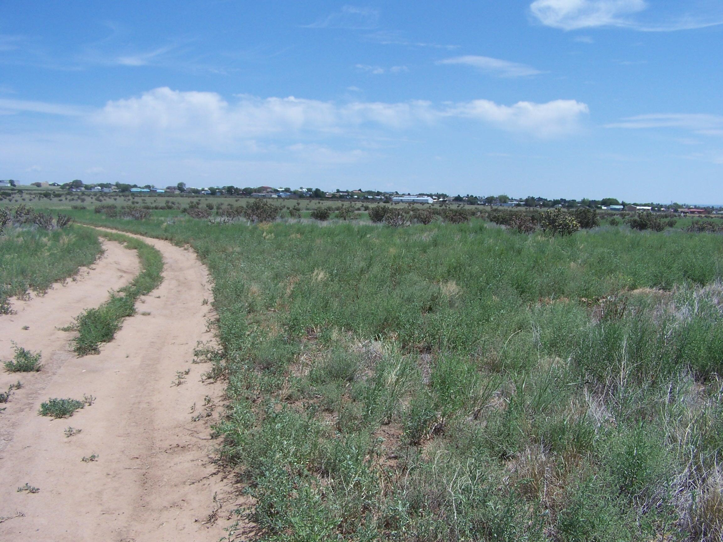 Hillcrest, Edgewood, New Mexico image 3