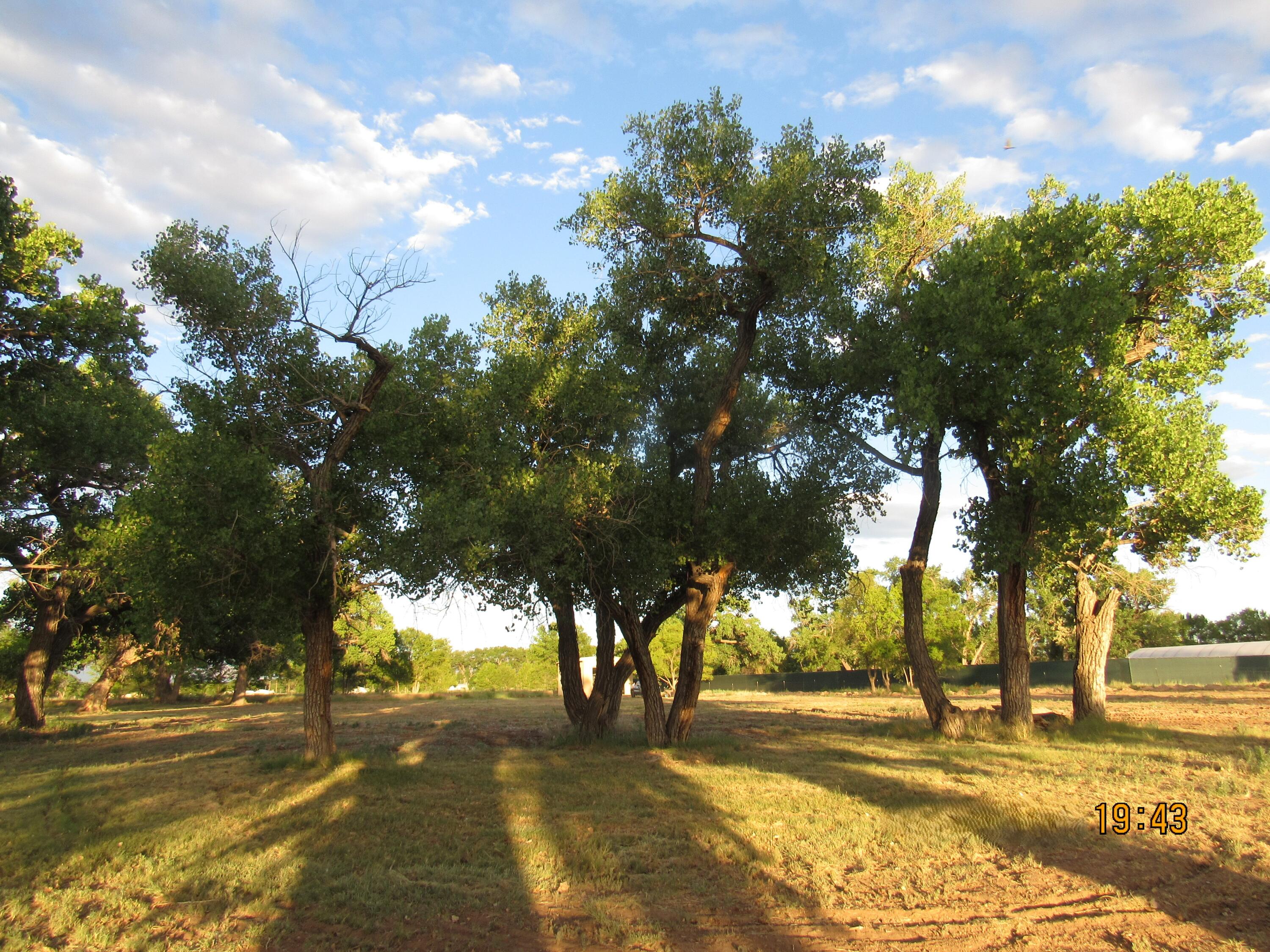 19 Cherokee Circle, Belen, New Mexico image 5